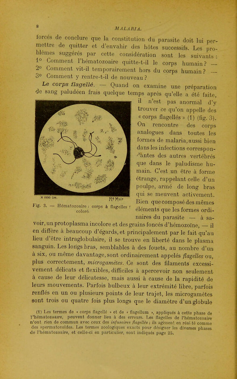 forcés de conclure que la constitution du parasite doit lui per- mettre de quitter et d'envahir des hôtes successifs. Les pro- blèmes suggérés par cette considération sont les suivants : 10 Gomment l'hématozoaire quitte-t-il le corps humain? — 2° Comment vit-il temporairement hors du corps humain? — 30 Comment y rentre-t-il de nouveau ? Le corps flagellé. — Quand on examine une préparation de sang paludéen frais quelque temps après qu'elle a été faite, il n'est pas anormal d'y trouver ce qu'on appelle des « corps flagellés » (1) (fig. 3). On rencontre des corps analogues dans toutes les formes de malaria, aussi bien dans les infections correspon- r^antes des autres vertébrés que dans le paludisme hu- main. C'est un être à forme étrange, rappelant celle d'un poulpe, armé de long bras qui se meuvent activement. Bien que composé des mêmes éléments que les formes ordi- naires du parasite — à sa- voir, un protoplasma incolore et des grains foncés d'hémozoïne, — il en diffère à beaucoup d'égards, et principalement par le fait qu'au lieu d'être intraglobulaire, il se trouve en liberté dans le plasma sanguin. Les longs bras, semblables à des fouets, au nombre d'un à six, ou même davantage, sont ordinairement appelés flagelles ou, plus correctement, microgamètes. Ce sont des filaments excessi- vement déhcats et flexibles, difficiles à apercevoir non seulement à cause de leur délicatesse, mais aussi à cause de la rapidité de leurs mouvements. Parfois bulbeux à leur extrémité libre, parfois renflés en un ou plusieurs points de leur trajet, les microgamètes •sont trois ou quatre fois plus longs que le diamètre d'un globule (1) Les termes de « corps flagellé » et de « flagellum », appliqués à cette phase de l'hématozoaire, peuvent donner lieu à des erreurs. Les flagelles de l'hémato/.oaire n'ont rien de commun avec ceux des infusoircs flagellés ; ils agissent en réai.té comme des spermatozoïdes. Les termes zoologiques exacts pour désigner les diverses phases de l'hématozoaire, et celle-ci en particulier, sont indiqués page 25, X 1000 DM Fig. 3, Hématozoaire : coloré. corps à flagelles