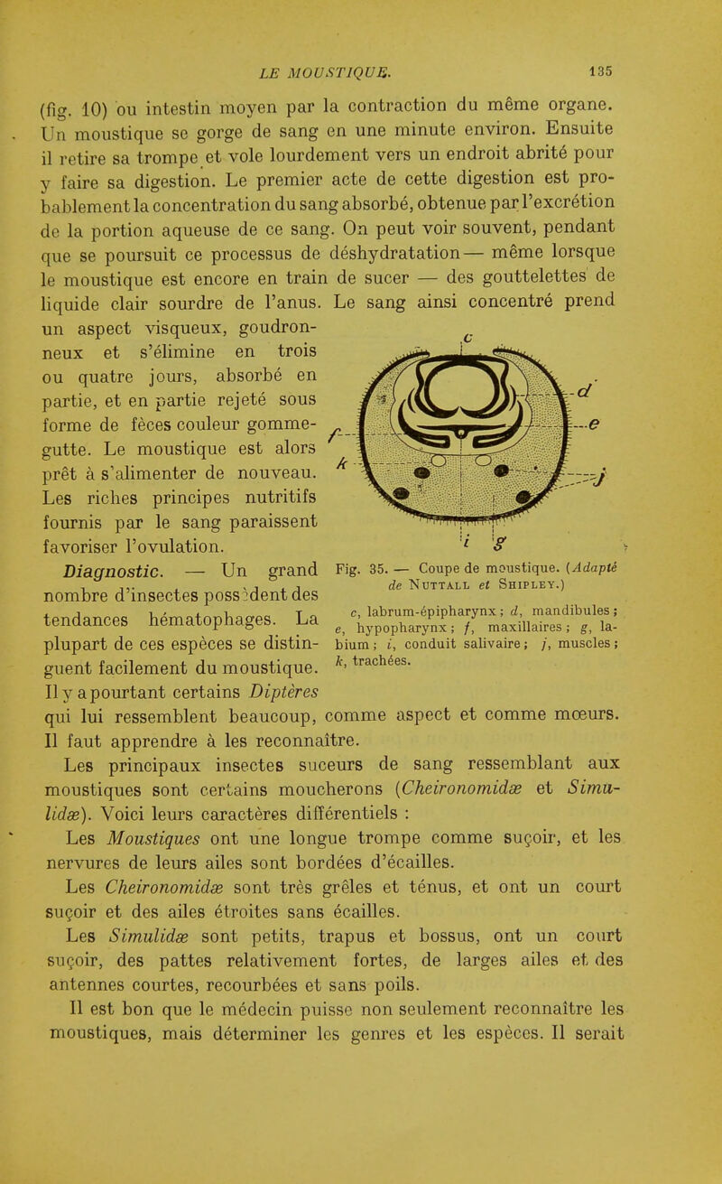 (fig. 10) OU intestin moyen par la contraction du même organe. Un moustique se gorge de sang en une minute environ. Ensuite il retire sa trompe et vole lourdement vers un endroit abrité pour y faire sa digestion. Le premier acte de cette digestion est pro- bablement la concentration du sang absorbé, obtenue par l'excrétion de la portion aqueuse de ce sang. On peut voir souvent, pendant que se poursuit ce processus de déshydratation— même lorsque le moustique est encore en train de sucer — des gouttelettes de liquide clair sourdre de l'anus. Le sang ainsi concentré prend un aspect visqueux, goudron- neux et s'élimine en trois ou quatre jours, absorbé en partie, et en partie rejeté sous forme de fèces couleur gomme- gutte. Le moustique est alors prêt à s'alimenter de nouveau. Les riches principes nutritifs fournis par le sang paraissent favoriser l'ovulation. Diagnostic. — Un grand nombre d'insectes poss Ment des tendances hématophages. La plupart de ces espèces se distin- guent facilement du moustique. Il y a pourtant certains Diptères qui lui ressemblent beaucoup, comme aspect et comme mœurs. Il faut apprendre à les reconnaître. Les principaux insectes suceurs de sang ressemblant aux moustiques sont certains moucherons [Cheironomidœ et Simtt- lidas). Voici leurs caractères différentiels : Les Moustiques ont une longue trompe comme suçoir, et les nervures de leurs ailes sont bordées d'écaillés. Les Cheironomidse sont très grêles et ténus, et ont un court suçoir et des ailes étroites sans écailles. Les Simulidss sont petits, trapus et bossus, ont un court suçoir, des pattes relativement fortes, de larges ailes et des antennes courtes, recourbées et sans poils. Il est bon que le médecin puisse non seulement reconnaître les moustiques, mais déterminer les genres et les espèces. Il serait 'i 'g Fig. 35. — Coupe de moustique. {Adapté de NuTTALL et Shipley.) c, labrum-épipharynx ; d, mandibules ; e, hypopharynx ; /, maxillaires ; g, la- bium ; i, conduit salivaire ; /, muscles ; k, trachées.