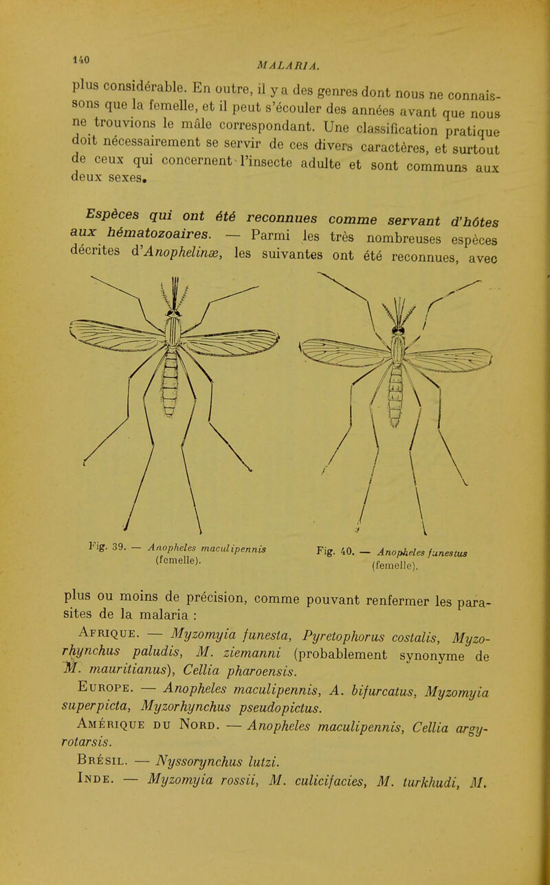 MALARIA. plus considérable. En outre, il y a des genres dont nous ne connais- sons que la femelle, et il peut s'écouler des années avant que nous ne^ trouvions le mâle correspondant. Une classification pratique doit nécessairement se servir de ces divers caractères, et surtout de ceux qm concernent l'insecte adulte et sont communs aux deux sexes. Espèces qui ont été reconnues comme servant d'hôtes aux hématozoaires. — Parmi les très nombreuses espèces décrites d'Anophelinae, les suivantes ont été reconnues, avec Fig. 39. — Anophèles maculipennis (femelle). Fig. 40. — Anophèles funestus (femelle). plus OU moins de précision, comme pouvant renfermer les para- sites de la malaria : Afrique. — Myzomyia junesia, Pyretophorus costalis, Myzo- rhynchus paludis, M. ziemanni (probablement synonyme de ~M. mauritianus), Cellia pharoensis. Europe. — Anophèles maculipennis, A. bifurcatus, Myzomyia superpicta, Myzorhynchus pseudopictus. Amérique du Nord. — Anophèles maculipennis, Cellia argy- rotarsis. Brésil. — Nyssorynchus lutzi. Inde. — Myzomyia rossii, M. culicifacies, M. turkhudi, M,