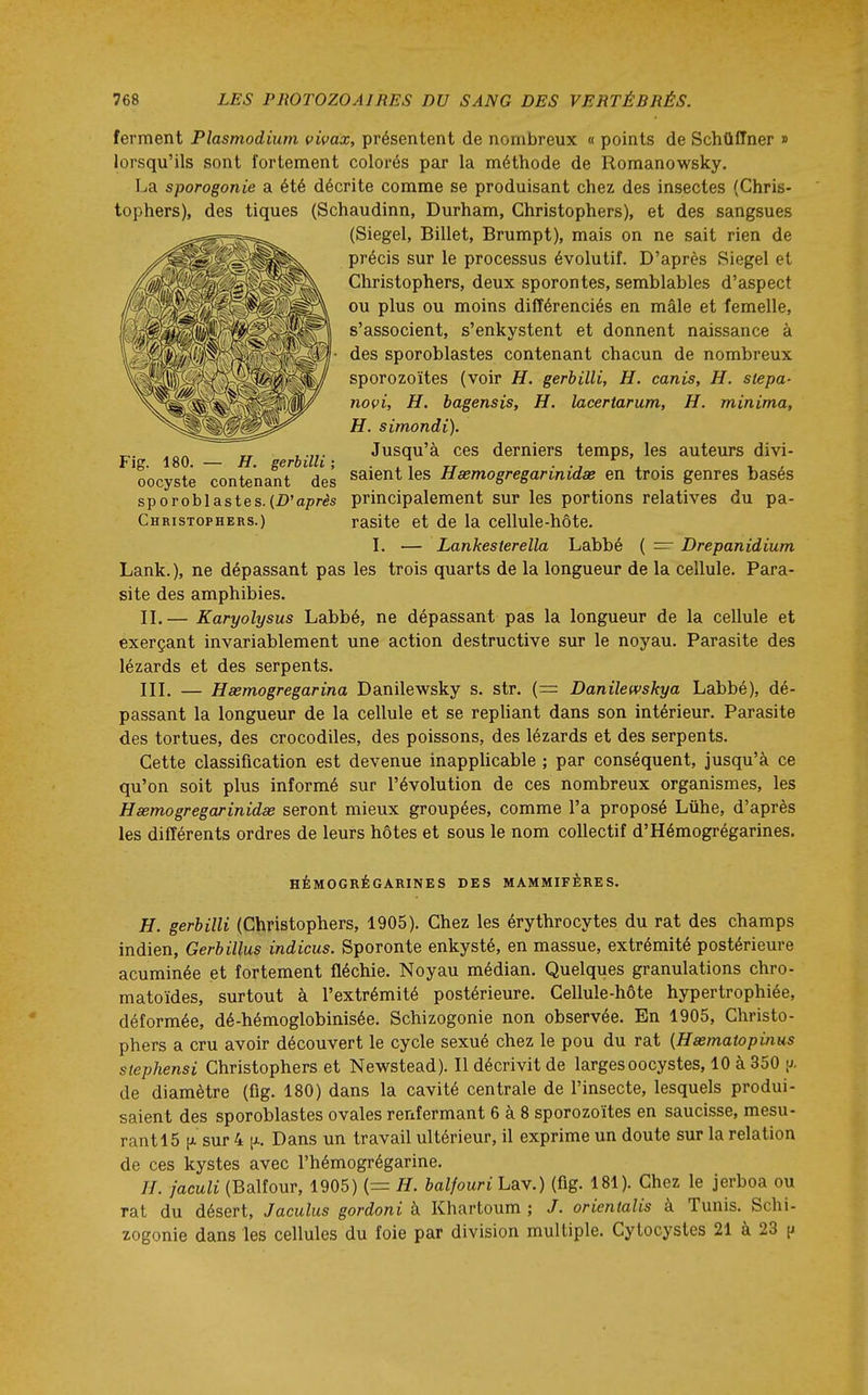 ferment Plasmodium vivax, présentent de nombreux « points de Schûffner » lorsqu'ils sont fortement colorés par la méthode de Romanowsky. La sporogonie a été décrite comme se produisant chez des insectes (Chris- tophers), des tiques (Schaudinn, Durham, Christophers), et des sangsues (Siegel, Billet, Brumpt), mais on ne sait rien de précis sur le processus évolutif. D'après Siegel et Christophers, deux sporontes, semblables d'aspect ou plus ou moins différenciés en mâle et femelle, s'associent, s'enkystent et donnent naissance à des sporoblastes contenant chacun de nombreux sporozoïtes (voir H. gerbilli, H. canis, H. stepa- novi, H. bagensis, H. lacertarum, H. minima, H. simondï). j,. jj erhilli Jusqu'à ces derniers temps, les auteurs divi- 'oocysté TontenanT 'des «aient les Hœmogregarinidœ en trois genres basés principalement sur les portions relatives du pa- rasite et de la cellule-hôte. I. — Lankesierella Labbé ( — Drepanidium Lank.), ne dépassant pas les trois quarts de la longueur de la cellule. Para- site des amphibies. II. — Karyolysus Labbé, ne dépassant pas la longueur de la cellule et exerçant invariablement une action destructive sur le noyau. Parasite des lézards et des serpents. III. — Hsemogregarina Danilewsky s. str. (= Danilewskya Labbé), dé- passant la longueur de la cellule et se repUant dans son intérieur. Parasite des tortues, des crocodiles, des poissons, des lézards et des serpents. Cette classification est devenue inapplicable ; par conséquent, jusqu'à ce qu'on soit plus informé sur l'évolution de ces nombreux organismes, les Hœmogregarinidœ seront mieux groupées, comme l'a proposé Lùhe, d'après les différents ordres de leurs hôtes et sous le nom collectif d'Hémogrégarines. sporoblastes. (D'après Christophers.) HÉMOGRÉGARINES DES MAMMIFÈRES. H. gerbilli (Christophers, 1905). Chez les érythrocytes du rat des champs indien, Gerbillus indiens. Sporonte enkysté, en massue, extrémité postérieure acuminée et fortement fléchie. Noyau médian. Quelques granulations chro- matoïdes, surtout à l'extrémité postérieure. Cellule-hôte hypertrophiée, déformée, dé-hémoglobinisée. Schizogonie non observée. En 1905, Christo- phers a cru avoir découvert le cycle sexué chez le pou du rat {Hœmatopinus stephensi Christophers et Newstead). Il décrivit de larges oocystes, 10 à 350 ii. de diamètre (fig. 180) dans la cavité centrale de l'insecte, lesquels produi- saient des sporoblastes ovales renfermant 6 à 8 sporozoïtes en saucisse, mesu- rant 15 [A sur 4 [JL. Dans un travail ultérieur, il exprime un doute sur la relation de ces kystes avec l'hémogrégarine. //. jaculi (Balfour, 1905) (== H. balfouri Lav.) (fig. 181). Chez le jerboa ou rat du désert, Jaculus gordoni à Khartoum ; /. orientalis à Tunis. Schi- zogonie dans les cellules du foie par division multiple. Cytocystes 21 à 23 |i