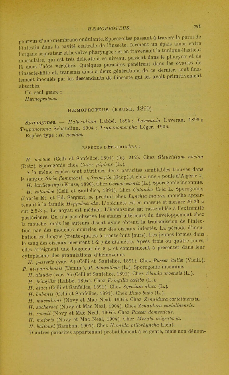 HMMOPBOTEUS. nourvus d'une membrane ondulante. Sporozoïtes passant à travers la paroi de l'intestin dans la cavité centrale de l'insecte, forment un épais amas entre l'organe aspirateur et la valve pharyngée ; et en traversant la tunique élastico- musculaire, qui est très délicate à ce niveau, passent dans le pharynx et de là dans l'hôte vertébré. Quelques parasites pénètrent dans les ovaires de l'insecte-hôte et, transmis ainsi à deux générations de ce dernier, sont fina- lement inoculés par les descendants de l'insecte qui les avait primitivement absorbés Un seul genre : Haemoproteus. H^MOPROTEUS (kRUSE, 1890). Synonymes. — Halteridium Labbé, 1894 ; Laverania Laveran, 1899 ; Trypanosoma Schaudinn, 1904 ; Trypanomorpha Léger, 1906. Espèce type : H. noctuse. ESPÈCES DÉTERMINÉES : H. noctuse (CelU et Sanfehce, 1891) (fig. 212). Chez Glaucidium noctua (Retz). Sporogonie chez Culex pipiens (L.). \ la même espèce sont attribués deux parasites semblables trouvés dans le sang de Strix flammea{h.), Scops gin (Scop)et chez une « poule d'Algérie ». H danilewskyi (Kruse, 1890). Chez Corvus cornix (L.). Sporogonie inconnue. H. columhse (Celh et Sanfehce, 1891). Chez Columha Iwia L. Sporogonie, d'après Et. et Ed. Sergent, se produit chez Lynchia maura, mouche appar- tenant à la famille Hippoboscidse. L'ookinète est en massue et mesure 20-23 [x sur 2,5-3 [JL. Le noyau est médian. L'hémozoïne est rassemblée à l'extrémité postérieure. On n'a pas observé les stades ultérieurs du développement chez la mouche, mais les auteurs disent avoir obtenu la transmission de l'infec- tion par des mouches nourries sur des oiseaux infectés. La période d'incu- bation est longue (trente-quatre à trente-huit jours). Les jeunes formes dans . le sang des oiseaux mesurent 1-2 [j- de diamètre. Après trois ou quatre jours, ' elles atteignent une longueur de 8 [j. et commencent à présenter dans leur cytoplasme des granulations d'hémozoïne. H. passeris (var. A) (Celh et Sanfehce, 1891). Chez Passer italias (Vieill.), P. hispanioUnsis (Temm.), P. domesticus (L.). Sporogonie inconnue. H. alaudse (var. A) (Celli et Sanfelice, 1891). Chez Alauda arvensis (L.). , H. jringilUe (Labbé, 1894). Chez Fringilla cœlebs (L.). H. aluci (Celh et Sanfehce, 1891). Chez Syrnium aluco (L.). H. huhonis (CelU et Sanfehce, 1891). Chez Buho huho (L.). H. maccalumi (Novy et Mac Neal, 1904). Chez Zenaidura cariolinensis. H. sacharovi (Novy et Mac Neal, 1904). Chez Zenaidura cariolinensis. H. rouxii (Novy et Mac Neal, 1904). Chez Passer domesticus. H. majoris (Novy et Mac Neal, 1904). Chez Merula migratoria. H. balfouri (Sambon, 1907). Chez Numida ptilorhyncha Licht. D'autres parasites appartenant probablement à ce genre, mais non dénom-