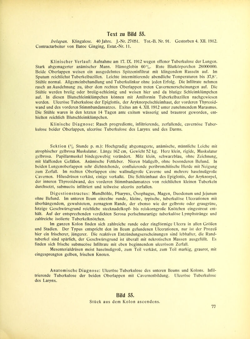 Irelapan. Klingalese. 40 Jahre. J.-Nr. 27051. Tot.-B. Nr. 9L Gestorben 4. XII. 1912. Contractarbeiter von Batoe Ginging, Estat.-Nr. 11. Klinischer Verlauf: Aufnahme am 17, IX. 1912 wegen offener Tuberkulose der Lungen. Stark abgemagerter anämischer Mann. Hämoglobin 60%. Rote Blutkörperchen 28000000. Beide Oberlappen weisen ein ausgedehntes Spitzeninfiltrat mit klingendem Rasseln auf. Im Sputum reichlichst Tuberkelbazillen. Leichte intermittierende abendliche Temperaturen bis 37,8°. Stühle normal. Allgemeinbehandlung und Tuberkulinkur ohne jeden Erfolg. Die Infiltrate nehmen rasch an Ausdehnung zu, über dem rechten Oberlappen treten Cavernenerscheinungen auf. Die Stühle werden breiig oder breiig-schleimig und weisen hier und da blutige Schleimklümpchen auf. In diesen Blutschleimklümpchen können mit Antiformin Tuberkelbazillen nachgewiesen werden. Ulceröse Tuberkulose der Epiglottis, der Aryknorpelschleimhaut, der vorderen Thyreoid- wand und des vorderen Stimmbandansatzes. Exitus am 4. XII. 1912 unter zunehmendem Marasmus. Die Stühle waren in den letzten 14 Tagen ante exitum wässerig und braunrot geworden, ent- hielten reichlich Blutschleimklümpchen. Klinische Diagnose: Rasch progrediente, infiltrierende, zerfallende, cavernöse Tuber- kulose beider Oberlappen, ulceröse Tuberkulose des Larynx und des Darms. Sektion {% Stunde p. m.): Hochgradig abgemagerte, anämische, männliche Leiche mit atrophischer gelbrosa Muskulatur. Länge 162 cm, Gewicht 52 kg. Herz klein, rigide, Muskulatur gelbrosa. Papillarmuskel bindegewebig verändert. Milz klein, schwarzblau, ohne Zeichnung, mit klaffenden Gefäßen. Anämische Fettleber. Nieren blaBgelb, ohne besonderen Befund. In beiden Lungenoberlappen sehr dichtstehende, confluierende peribronchitische Herde mit Neigung zum Zerfall. Im rechten Oberlappen eine wallnußgroße Caverne und mehrere haselnußgroße Cavernen. Hilusdrüsen verkäst, einige verkalkt. Die Schleimhaut des Epiglottis, der Aryknorpel, der inneren Thyreoidwand, des vorderen Stimmbandansatzes von reichlichen kleinen Tuberkeln durchsetzt, submucös infiltriert und teilweise ulcerös zerfallen. Digestionstractus: Mundhöhle, Pharynx, Ösophagus, Magen, Duodenum und Jejunum ohne Befund. Im unteren Ileum einzelne runde, kleine, typische, tuberkulöse Ulcerationen mit überhängendem, gewulstetem, zernagtem Rande, der ebenso wie der gelbrote oder graugrüne, fetzige Geschwürsgrund reichliche Stecknadelkopf- bis reiskorngroße Knötchen eingestreut ent- hält. Auf der entsprechenden verdickten Serosa perlschnurartige tuberkulöse Lymphstränge und zahlreiche isolierte Tuberkelknötchen. Im ganzen Kolon finden sich zahlreiche runde oder ringförmige Ulcera in allen Größen und Stadien. Der Typus entspricht den im Ileum gefundenen Ulcerationen, nur ist der Prozeß hier ein frischerer, jüngerer. Die reaktiven Entzündungserscheinungen sind lebhafter, die Rand- tuberkel sind spärlich, der Geschwürsgrund ist überall mit nekrotischen Massen ausgefüllt. Es finden sich frische submucöse Infiltrate mit eben beginnendem ulcerösem Zerfall. Mesenterialdrüsen meist haselnußgroß, zum Teil verkäst, zum Teil markig, graurot, mit eingesprengten gelben, frischen Knoten. Anatomische Diagnose: Ulceröse Tuberkulose des unteren Ileums und Kolons. Infil- trierende Tuberkulose der beiden Oberlappen mit Cavernenbildung. Ulceröse Tuberkulose des Larynx. Bild 55. Stück aus dem Kolon ascendens.