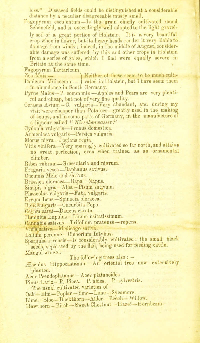 loss. D'seased lifltls could btv distinjjiiished at a cousideraljlo dintance hy a peculiar disaf^reeable musty P.mell. Fasopyrum esoulentnm—Is the grain chiefly cultivated round Schoiiefeld, and is exceedingly well adapted to the light gravel- ly soil of a {jroat portion of Holstein. It ia a very beautiful crop when in flower, but its heavy heads render it very liable to damage from winds ; indeed, in the middle of Augnst, consider- able damage was suftercd by this and other crops in l iolgtein from a series of gales, which I find were equally severe in Britain at the same time. Fa^opyrum Tartaricum. Zea Mais — ) Neither of these seem to bo much calti- Panicura Miliaceum — J vated in i-'olstein, but I have seem them in abundance in South Germany. Pyrus Malus—P. communis —Apples and Pears are very plenti- ful and cheap, but not of very fine quality. Cerasus Avium-0. vulgaris—Very abundant, and during my visit were cheaper than Potatoes—greatly used in the making of soups, and in some parts of Germany, in the manufacture of a liqueur called Ki'schenwasser. Cydonia vul jaris—Prunns domestica. Arnieniaca vulgaris—Persica vulgaris. Morus nigra—Juglans regia. Vitis vinifera—Very sparingly cultivated so far north, and atlaini no great perfection, even when trained as an ornameutal climber. Ribes rnbrum—Grossularia and nigrum. Fragaria vesca—Raphanus sativus. Gucumis Melo and sativus Brassica oleracea—Rapa—Napus. Sinapis nigra—Alba-Pisum sativum. Phaseolus vulgaris—Faba vulgaris. Ervum Lens—Spinacia oleracea. Beta vulgaris—Cucurbita Pepo. Garum caiui—Daucns carol a Hmflulus Lupulus - Linura usitatissimum. CanpaMs sativus—Trifolium pratense—repens. Vicfftativa—Medicago eativa. Loliuta perenne -Cichorium lutybus. Spergula arvensis—Is considerably cultivated: the small black seeds, separated by the flail, being used for feeding cattle. Mangol wurzel. The following trees also : - iEsculus rlippocastanum—An oriental tree now extensively planted. Acer Pseudoplatanus - Acer platanoides Pinus Larix- P. Picea. P. abies. P. sylvestris. The usual cultivated varieties of Oak—Elm—Poplar-Yew—Lime-Sycamore. Limo - Sloe-Buckthorn—Alder—Beech - Willow. Hawthorn - Birch—Sweet Chestnut —Haze'—Hornbeam.