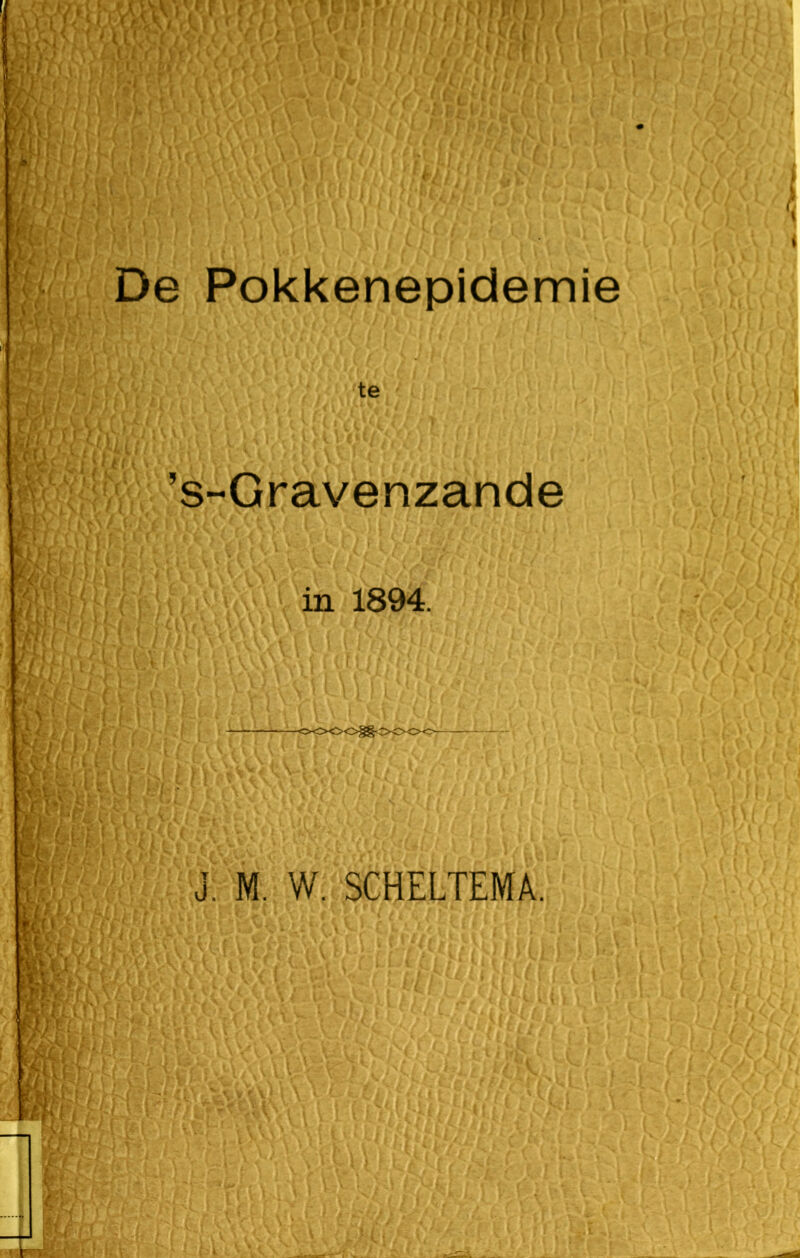 De Pokkenepidemie te ’s-Gravenzande in 1894.