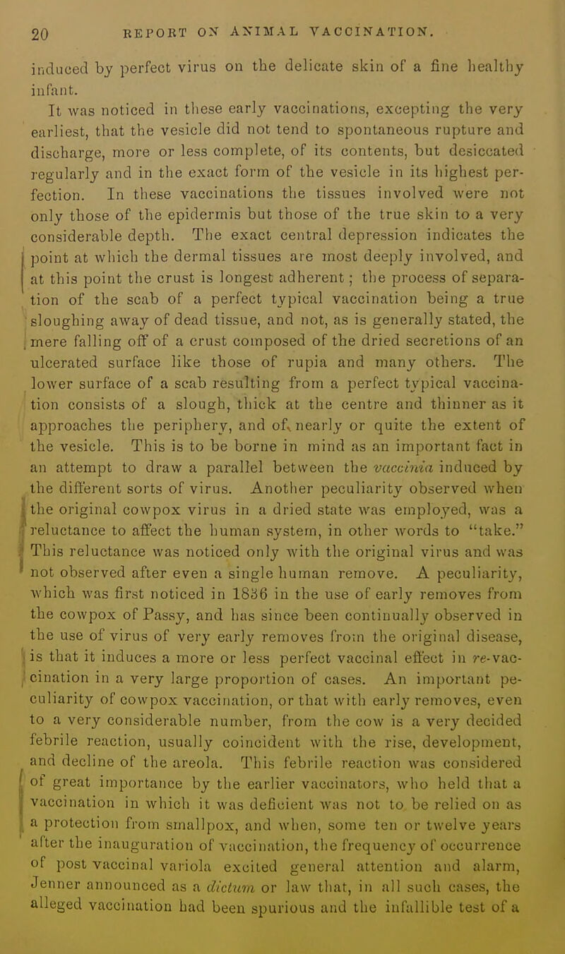 induced by perfect virus on the delicate skin of a fine healthy infant. It was noticed in these early vaccinations, excepting the very earliest, that the vesicle did not tend to spontaneous rupture and discharge, more or less complete, of its contents, but desiccated regularly and in the exact form of the vesicle in its highest per- fection. In these vaccinations the tissues involved were not only those of the epidermis but those of the true skin to a very considerable depth. The exact central depression indicates the point at which the dermal tissues are most deeply involved, and at this point the crust is longest adherent; the process of separa- tion of the scab of a perfect typical vaccination being a true sloughing away of dead tissue, and not, as is generally stated, the mere falling off of a crust composed of the dried secretions of an ulcerated surface like those of rupia and many others. The lower surface of a scab resulting from a perfect typical vaccina- tion consists of a slough, thick at the centre and thinner as it approaches the periphery, and of* nearly or quite the extent of the vesicle. This is to be borne in mind as an important fact in an attempt to draw a parallel between the vaccinia induced by the different sorts of virus. Another peculiarity observed when the original cowpox virus in a dried state was employed, was a reluctance to affect the human system, in other words to take. This reluctance was noticed only with the original virus and was not observed after even a single human remove. A peculiarity, which was first noticed in 1836 in the use of early removes from the cowpox of Passy, and has since been continually observed in the use of virus of very early removes from the original disease, is that it induces a more or less perfect vaccinal effect in re-vac- cination in a very large proportion of cases. An important pe- culiarity of cowpox vaccination, or that with early removes, even to a very considerable number, from the cow is a very decided febrile reaction, usually coincident with the rise, development, and decline of the areola. This febrile reaction was considered of great importance by the earlier vaccinators, who held that a vaccination in which it was deficient was not to be relied on as a protection from smallpox, and when, some ten or twelve years after the inauguration of vaccination, the frequency of occurrence of post vaccinal variola excited general attention and alarm, Jenner announced as a dictum or law that, in all such cases, the alleged vaccination had been spurious and the infallible test of a