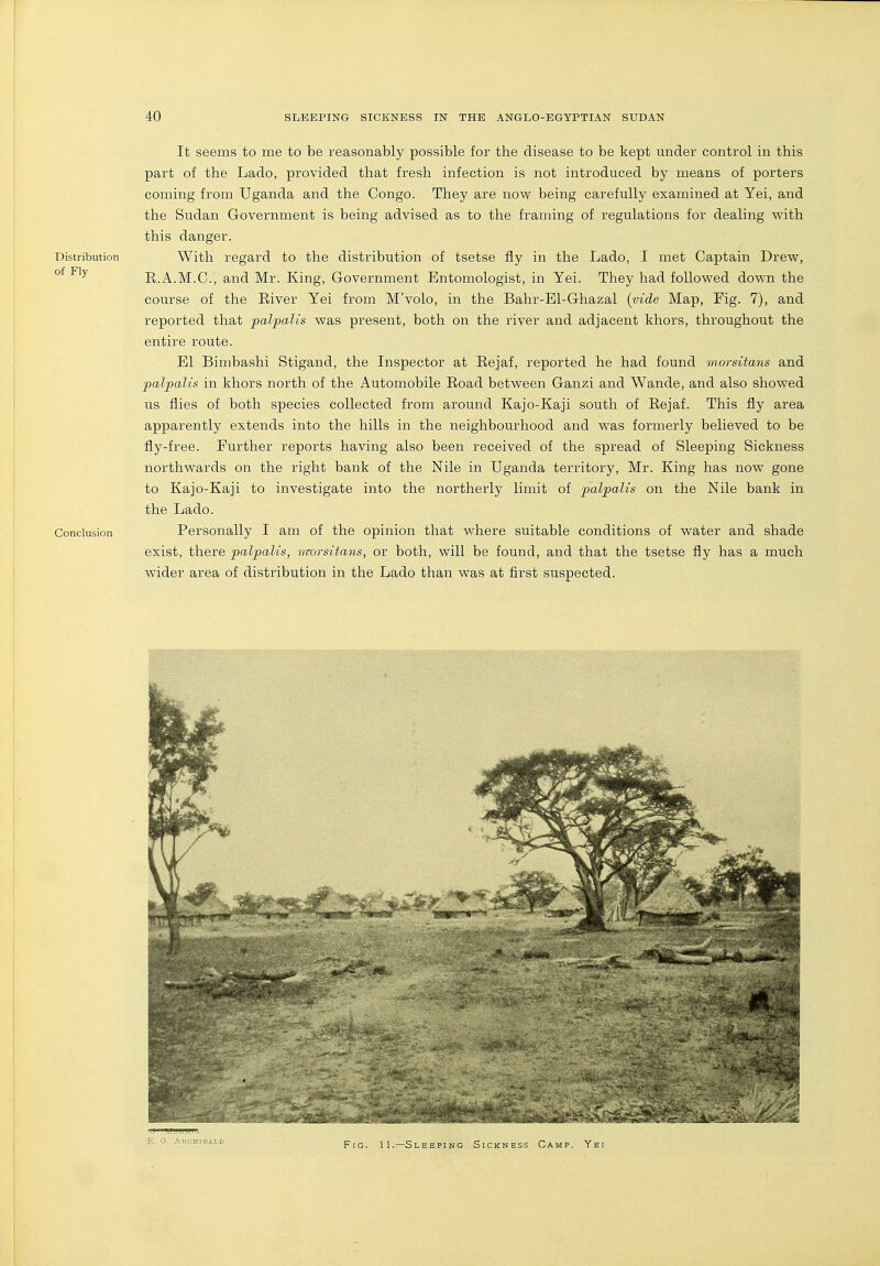 It seems to me to be reasonably possible for the disease to be kept under control in this part of the Lado, provided that fresh infection is not introduced by means of porters coming from Uganda and the Congo. They are now being carefully examined at Yei, and the Sudan Government is being advised as to the framing of regulations for dealing with this danger. Distribution With regard to the distribution of tsetse fly in the Lado, I met Captain Drew, of Fly E.A.M.C., and Mr. King, Government Entomologist, in Yei. They had followed down the course of the Eiver Yei from M'volo, in the Bahr-El-Ghazal {vide Map, Fig. 7), and reported that palpalis was present, both on the river and adjacent khors, throughout the entire route. El Bimbashi Stigand, the Inspector at Eejaf, reported he had found ynorsitans and palpalis in khors north of the Automobile Eoad between Ganzi and Wande, and also showed us flies of both species collected from around Kajo-Kaji south of Eejaf. This fly area apparently extends into the hills in the neighbourhood and was formerly believed to be fly-free. Further reports having also been received of the spread of Sleeping Sickness northwards on the right bank of the Nile in Uganda territory, Mr. King has now gone to Kajo-Kaji to investigate into the northerly limit of palpalis on the Nile bank in the Lado. Conclusion Personally I am of the opinion that where suitable conditions of water and shade exist, there palpalis, morsitans, or both, will be found, and that the tsetse fly has a much wider area of distribution in the Lado than was at first suspected. Fig. 11.—Sleeping Sickness Camp. Yei