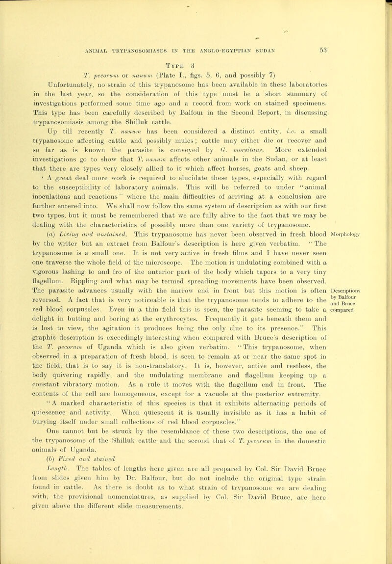 Type 3 T. pecoriiia or naimiii. (Plate I., figs. 5, 6, aud possibly 7) Unfortunately, no strain of this trypanosonie has been available in these laboratories in the last year, so the consideration of this type must be a short sumuiary of investigations performed some time ago and a record from work on stained specimens. This type has been carefully described by Balfour in the Second Eeport, in discussing trypanosomiasis among the Shilluk cattle. Up till recently nannm has been considered a distinct entity, 'i.e. a small trypanosonie affecting cattle and possibly mules ; cattle may either die or recover and so far as is known the parasite is conveyed by (J. morsitan.s. More extended investigations go to show that T. ikuhiiii affects other animals in the Sudan, or at least that there are types very closely allied to it which affect horses, goats and sheep. ' A great deal more work is required to elucidate these types, especially with regard to the susceptibility of laboratory animals. This will be referred to under  animal inoculations and reactions where the main difficulties of arriving at a conclusion are further entered into. We shall now follow the same system of description as with our first two types, but it must be remembered that we are fully alive to the fact that we may be dealing with the characteristics of possibly more than one variety of trypanosonie. (a) Livuig and nnsfainecl. This trypanosonie has never been observed in fresh blood Morphology by the writer but an extract from Balfour's description is here given verbatim.  The trypanosonie is a small one. It is not very active in fresh films and I have never seen one traverse the whole field of the microscope. The motion is undulating combined with a vigorous lashing to and fro of the anterior part of the body which tapers to a very tiny flagellum. Rippling and what may be termed spreading movements have been observed. The parasite advances usually with the narrow end in front but this motion is often Descriptions reversed. A fact that is very noticeable is that the trypanosonie tends to adhere to the '^>'^^1'^°' ■' •''- and Bruce red blood corpuscles. Even in a thin field this is seen, the parasite seeming to take a compared delight in butting and boring at the erythrocytes. Frequently it gets beneath them and is lost to view, the agitation it produces being the only clue to its presence. This graphic description is exceedingly interesting when compared with Bruce's description of the T. pecorum of Uganda which is also given verbatim. This trypanosonie, when observed in a preparation of fresh blood, is seen to remain at or near the same spot in the field, that is to say it is non-traiislatory. It is, however, active and restless, the body quivering rapidly, and the undulating membrane and flagellum keeping up a constant vibratory motion. As a rule it moves with the flagellum end in front. The contents of the cell are homogeneous, except for a vacuole at the posterior extremity.  A marked characteristic of this species is that it exhibits alternating periods of quiescence and activity. When quiescent it is usually invisible as it has a habit of burying itself under small collections of red blood corpuscles. One cannot but be struck by the resemblance of these two descriptions, the one of the trypanosonie of the Shilluk cattle and the second that of T. peconun in the domestic animals of Uganda. {})) Fixed and stained Le/igfh. The tables of lengths here given are all prepared by Col. Sir David Bruce from slides given him by Dr. Balfour, but do not include the original type strain found in cattle. As there is doubt as to what strain of trypanosonie we are dealing with, the provisional nomenclatures, as supplied by Col. Sir David Bruce, are here given above the different slide measurements.