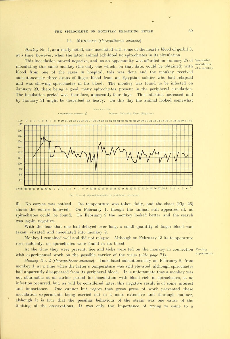 II. Monkeys [Gercopithecus sahaeus) Monkey No. 1, as already noted, was inoculated with some of the heart's blood of gerbil 3, at a time, however, when the latter animal exhibited no spirochtetes in its circulation. This inoculation proved negative, and, as an opportunity was afforded on January 25 of Successful inoculating this same monkey (the only one which, on that date, could be obtained) with ^-lonj-g^ blood from one of the cases in hospital, this was done and the monkey received subcutaneously three drops of finger blood from an Egyptian soldier who had relapsed and was showing spirochsetes in his blood. The monkey was found to be infected on January 29, there being a good many spirochsetes present in the peripheral circulation. The incubation period was, therefore, apparently four days. This infection increased, and by January 31 might be described as heavy. On this day the animal looked somewhat ilONKEV No 1 Cei'COpitliecns sabaeiis, ^ Disease: Kelapsing Fever (Egyptian) DAY 1 2 3 4 5 6 7 8 9 10 11 12 13 14 15 16 17 18 19 20 21 22 23 24 25 26 27 28 29 30 31 32 33 34 35 36 37 38 39 40 41 42 F° 106° 105° 104° 103° 102° 101° 100° 99° 98° 97° V DATE 25 26 27 28 29 30 31 1 2 3 4 n 6 7 8 9 10 11 12 13 14 15 16 17 18 19 20 21 22 23 24 25 26 27 28 1 2 3 4 5 6 7 Fig. 20.— + sign^Spirochaettrw in peripheral circulation ill. No coryza was noticed. Its temperature was taken daily, and the chart (Fig. 26) shows the course followed. On February 1, though the animal still appeared ill, no spirochsetes could be found. On February 2 the monkey looked better and the search With the fear that one had delayed over long, a small quantity of finger blood was taken, citrated and inoculated into monkey 2. Monkey 1 remained well and did not relapse. Although on February 13 its temperature rose suddenly, no spirochsetes were found in its blood. At the time they were present, lice and ticks were fed on the monkey in connection Feeding with experimental work on the possible carrier of the virus {vide page 71). expenments Monhey No. 2 [Gercopithecus sahaeus).—Inoculated subcutaneously on February 2, from monkey 1, at a time when the latter's temperature was still elevated, although spirochsetes had apparently disappeared from its peripheral blood. It is unfortunate that a monkey was not obtainable at an earlier period for inoculation with blood rich in spirochsetes, as no infection occurred, but, as will be considered later, this negative result is of some interest and importance. One cannot but regret that great press of work prevented these inoculation experiments being carried out in a more extensive and thorough manner, although it is true that the peculiar behaviour of the strain was one cause of the limiting of the observations. It was only the importance of trying to come to a