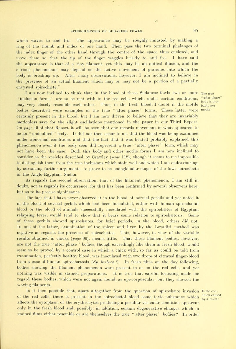 which waves to and fi'o. The; appearance may be roughly imitated by making a ring of the thumb and index of one hand. Tlien pass the two terminal phalanges of the index finger of the other haiad through the centre of the space thus enclosed, and move them so that the tij) of the finger waggles briskly to and fro. I have said the appearance is that of a tiny filament, yet this may be an optical illusion, and the curious phenomenon may depend on the active movement of granules into which the body is breaking up. After many observations, however, I am inclined to believe in the presence of an actual filament which may or may not be a portion of a partially encysted spirochaete. I am now inclined to think that in the blood of these Sudanese fowls two or more The true inclusion forms are to be met with in the red cells which, under certain conditions, after phase body is pro- may very closely resemble each other. Thus, in the fresh blood, I doubt if the motile ^^bly not bodies described were examples of the true after phase forms. These latter were motile certainly present in the blood, but I am now driven to believe that they are invariably motionless save for the slight oscillations mentioned in the paper in our Third Eeport. On paye 49 of that Report it will be seen that one records movement in what appeared to be an undoubted body. It did not then occur to me that the blood was being examined under abnormal conditions and that the fact that it was heated probably explained this phenomenon even if the body seen did represent a true after phase form, which may not have been the case. Both this body and other motile forms I am now inclined to consider as the vesicles described by Crawley {'paye 118), though it seems to me impossible to distinguish them from the true inclusions which stain well and which I am endeavouring, by advancing further arguments, to prove to be endoglobular stages of the fowl spirochsete in the Anglo-Egyptian Sudan. As regards the second observation, that of the filament phenomenon, I am still in doubt, not as regards its occurrence, for that has been confirmed by several observers here, but as to its precise significance. The fact that I have never observed it in the blood of normal gerbils aiid yet noted it in the blood of several gerbils which had been inoculated, either with human spirochsetal blood or the blood of animals successfully inoculated with the spirochtetes of Egyptian relapsing fever, would tend to show that it bears some relation to spirochaetosis. Some of these gerbils showed spirochsetes, for brief periods, in the blood, others did not. In one of the latter, examination of the spleen and liver by the Levaditi method was negative as regards the presence of spirochsetes. This, however, in view of the variable results obtained in chicks {page 86), means little. That these filament bodies, however, are not the true after phase bodies, though exceedingly like them in fresh blood, would seem to be proved by a control case in which a chick with, so far as could be told from examination, perfectly healthy blood, was inoculated with two drops of citrated finger-blood from a case of human spirochaetosis {8p. horbera f). In fresh films on the day following, bodies showing the filament phenomenon were present in or on the red cells, and yet nothing was visible in stained preparations. It is true that careful focussing made me regard these bodies, which were not again found, as epi-corpuscular, but they showed the waving filaments. Is it then possible that, apart altogether from the question of spirochaete invasion is the con- of the red cells, there is present in the spirochiBtal blood some toxic substance which ^ ^ by a toxin ? affects the cytoplasm of the erythrocytes producing a peculiar vesicular condition apparent only in the fresh blood and, possibly, in addition, certain degenerative changes which in stained films either resemble or are themselves the true after phase bodies? In order