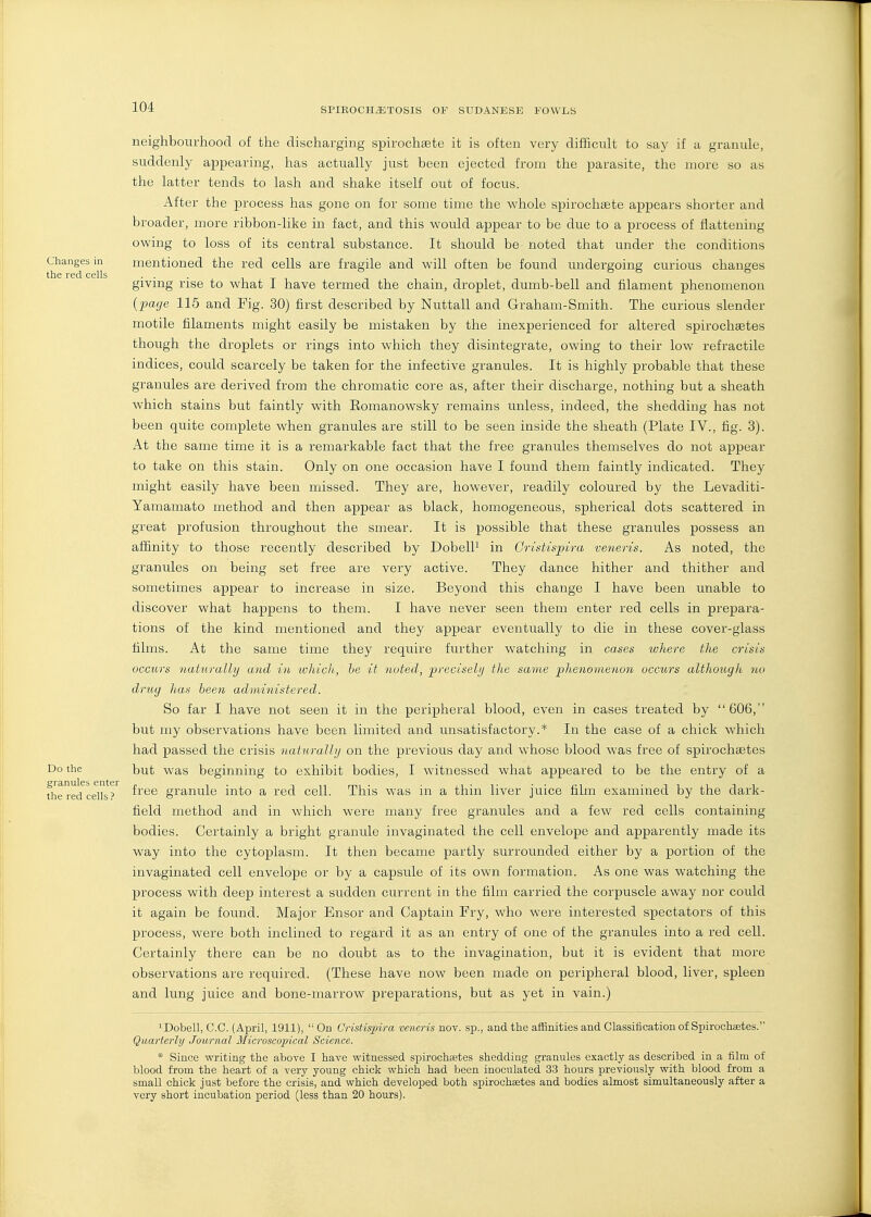 Changes in the red cells Do the granules enter the red cells ? neighbourhood of the discharging spirochsete it is often very difficult to say if a granule, suddenly appearing, has actually just been ejected from the parasite, the more so as the latter tends to lash and shake itself out of focus. After the process has gone on for some time the whole spirochete appears shorter and broader, more ribbon-like in fact, and this would appear to be due to a process of flattening owing to loss of its central substance. It should be noted that under the conditions mentioned the red cells are fragile and will often be found undergoing curious changes giving rise to what I have termed the chain, droplet, dumb-bell and filament phenomenon {page 115 and Fig. 30) first described by Nuttall and Graham-Smith. The curious slender motile filaments might easily be mistaken by the inexperienced for altered spirochaetes though the droplets or rings into which they disintegrate, owing to their low refractile indices, could scarcely be taken for the infective granules. It is highly probable that these granules are derived from the chromatic core as, after their discharge, nothing but a sheath which stains but faintly with Eomanowsky remains unless, indeed, the shedding has not been quite complete when granules are still to be seen inside the sheath (Plate IV., fig. 3). At the same time it is a remarkable fact that the free granules themselves do not appear to take on this stain. Only on one occasion have I found them faintly indicated. They might easily have been missed. They are, however, readily coloured by the Levaditi- Yamamato method and then appear as black, homogeneous, spherical dots scattered in great profusion throughout the smear. It is possible that these granules possess an affinity to those recently described by Dobell^ in Cristispira veneris. As noted, the granules on being set free are very active. They dance hither and thither and sometimes appear to increase in size. Beyond this change I have been unable to discover what happens to them. I have never seen them enter red cells in prepara- tions of the kind mentioned and they appear eventually to die in these cover-glass films. At the same time they require further watching in cases where the crisis occurs naturally and in which, he it noted, preciselt] the same phenomenon occurs althonglo no drug luis been administered. So far I have not seen it in the peripheral blood, even in cases treated by 606, but my observations have been limited and unsatisfactory.* In the case of a chick which had passed the crisis naiuralhj on the previous day and whose blood was free of spirochaetes but was beginning to exhibit bodies, I witnessed what appeared to be the entry of a free granule into a red cell. This was in a thin liver juice fibn examined by the dark- field method and in which were many free granules and a few red cells containing bodies. Certainly a bright granule invaginated the cell envelope and apparently made its way into the cytoplasm. It then became partly surrounded either by a portion of the invaginated cell envelope or by a capsule of its own formation. As one was watching the process with deep interest a sudden current in the film carried the corpuscle away nor could it again be found. Major Ensor and Captain Fry, who were interested spectators of this process, were both inclined to regard it as an entry of one of the granules into a red cell. Certainly there can be no doubt as to the invagination, but it is evident that more observations are required. (These have now been made on peripheral blood, liver, spleen and lung juice and bone-marrow preparations, but as yet in vain.) ^Dobell, C.C. (April, 1911),  On Cristispira veneris nov. sp., and the affinities and Classification of Spirochaetes. Quarterly Journal llicroscopical Science. * Since writing the above I have witnessed spirochsetes shedding granules exactly as described in a film of blood from the heart of a very young chick which had been inoculated 33 hours previously with blood from a small chick just before the crisis, and which developed both spirochaetes and bodies almost simultaneously after a very short incubation period (less than 20 hours).