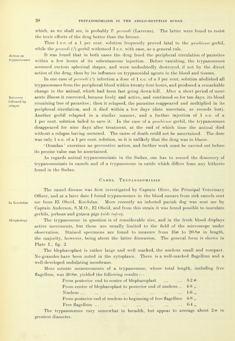 Action on trypanosomes Recovery followed by relapse which, as we shall see, is probably T. pecaudi (Laveran). The latter were found to resist the toxic effects of the drug better than the former. Thus 1 c.c. of a 1 per cent, solution frequently proved fatal to the gamhiense gerbil, while the ^pecaudi {?) gerbil withstood 3 c.c. with ease, as a general rule. It was found that in both cases the drug freed the peripheral circulation of parasites within a few hours of its subcutaneous injection. Before vanishing, the trypanosomes assumed curious spherical shapes, and were undoubtedly destroyed, if not by the direct action of the drug, then by its influence on trypanocidal agents in the blood and tissues. In one case oi pecaudi [?) infection a dose of 1 c.c. of a 3 per cent, solution abolished all trypanosomes from the peripheral blood within twenty-four hours, and produced a remarkable change in the animal, which had been fast going down-hill. After a short period of more acute illness it recovered, became lively and active, and continued so for ten days, its blood remaining free of parasites; then it relapsed, the parasites reappeared and multiplied in its peripheral circulation, and it died within a few days (date uncertain, as records lost). Another gerbil relapsed in a similar manner, and a further injection of 1 c.c. of a 1 per cent, solution failed to save it. In the case of a gamhiense gerbil, the trypanosomes disappeared for nine days after treatment, at the end of which time the animal died without a relapse having occurred. The cause of death could not be ascertained. The dose was only 1 c.c. of a 1 per cent, solution, so it is unlikely that the drug was to blame. ' Orsudan' exercises no preventive action, and further work must be cari ied out before its precise value can be ascertained. As regards animal trypanosomiasis in the Sudan, one has to record the discovery of trypanosomiasis in camels and of a trypanosorae in cattle which differs from any hitherto found in the Sudan. Camel Tbypanosomiasis The camel disease was first investigated by Captain Olver, the Principal Veterinary Officer, and at a later date I found trypanosomes in the blood smears from sick camels sent In Kordofan me from El Obeid, Kordofan. More recently an infected pariah dog was sent me by Captain Anderson, S.M.O., El Obeid, and from this strain it was found possible to inoculate gerbils, jerboas and guijiea pigs [vide infra). Morphology The trypanosome in question is of considerable size, and in the fresh blood displays active movements, but these are usually limited to the field of the microscope under observation. Stained specimens are found to measure from 16^t to 20-8/(t in length, the majority, however, being about the latter dimension. The general form is shown in Plate I., fig. 2. The blepharoplast is rather large and well marked, the nucleus small and compact. No granules have been noted in the cytoplasm. There is a well-marked flagellum and a well-developed undulating membrane. More minute measurements of a trypanosome, whose total length, including free flagellum, was 20-8|H, yielded the following results :— From posterior end to centre of blepharoplast ... ... 3-2 ^ From centre of blepharoplast to posterior end of nucleus... 4-8 ,, Nucleus 1-6 ,, From posterior end of nucleus to beginning of free flagellum 4-8 ,, Free flagellum ... ... ... ... ... ... ... 6-4,, The trypanosomes vary somewhat in breadth, but appear to average about 2 ,it in greatest diameter.