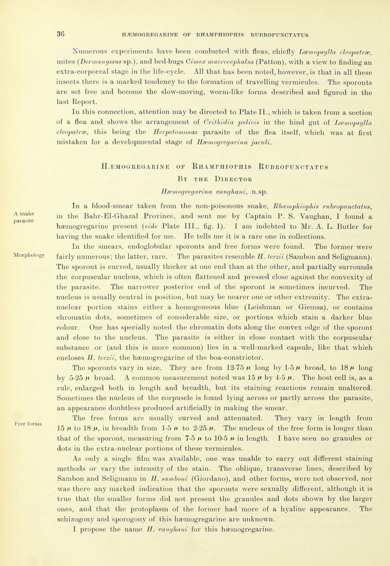 Numerous experiments have been conducted with fleas, chiefly Loemopsylla cleopatrse, mites (Dermanyssus sp.), and bed-bugs Gimex macrocephalus (Patton), with a view to finding an extra-corporeal stage in the life-cycle. All that has been noted, however, is that in all these insects there is a marked tendency to the formation of travelling vermicules. The sporonts are set free and become the slow-moving, worm-like forms described and figured in the last Report. In this connection, attention may be directed to Plate II., which is taken from a section of a flea and shows the arrangement of Grithidia pnUcis in the hind gut of Loe,mopsylla cleopatrse, this being the Herpetomonas parasite of the flea itself, which was at first mistaken for a developmental stage of Hsemogregarina jacuU. H/EMOGEEGAKINE OF RhAMPHIOPHIS RuBROPUNCTATUS By the Dieector Hsemogregarina vaughani, n.sp. In a blood-smear taken from the non-poisonous snake, Bhaviphiophis ruhropunctatus, A snake ^j^g Bahr-El-Ghazal Province, and sent me by Captain P. S. Vaughan, I found a • parasite j x o > haemogregarine present [vide Plate III., fig. 1). I am indebted to Mr. A. L. Butler for having the snake identified for me. He tells me it is a rare one in collections. In the smears, endoglobular sporonts and free forms were found. The former were Morphology fairly numerous; the latter, rare. The parasites resemble H. terzii (Sambon and Seligmann). The sporont is curved, usually thicker at one end than at the other, and partially surrounds the corpuscular nucleus, which is often flattened and pressed close against the convexity of the parasite. The narrower posterior end of the sporont is sometimes incurved. The nucleus is usually central in position, but may be nearer one or other extremity. The extra- nuclear portion stains either a homogeneous blue (Leishman or Giemsa), or contains chromatin dots, sometimes of considerable size, or portions which stain a darker blue colour. One has specially noted the chromatin dots along the convex edge of the sporont and close to the nucleus. The parasite is either in close contact with the corpuscular substance or (and this is more common) lies in a well-marked capsule, like that which encloses H. terzii, the haemogregarine of the boa-constrictor. The sporonts vary in size. They are from 12-75 a* long by 1-5 |* broad, to ISjtt long by 5-25 fx broad. A common measurement noted was 15 jU by 4-5 /u. The host cell is, as a rule, enlarged both in length and breadth, but its staining reactions remain unaltered. Sometimes the nucleus of the corpuscle is found lying across or partly across the parasite, an appearance doubtless produced artificially in making the smear. The free forms are usually curved and attenuated. They vary in length from FrcG forms 15 /(' to 18 1^, in breadth from 1-5 m to 2-25 A*- The nucleus of the free form is longer than that of the sporont, measuring from 7-5 to 10-5 M in length. I have seen no granules or dots in the extra-nuclear portions of these vermicules. As only a single film was available, one was unable to carry out difi'erent staining methods or vary the intensity of the stain. The oblique, transverse lines, described by Sambon and Seligmann in H. sam.honi (Giordano), and other forms, were not observed, nor was there any marked indication that the sporonts were sexually difi^erent, although it is true that the smaller forms did not present the granules and dots shown by the larger ones, and that the protoplasm of the former had more of a hyaline appearance. The schizogony and sporogony of this hsemogregarine are unknown. I propose the name H. vaughani for this haemogregarine.