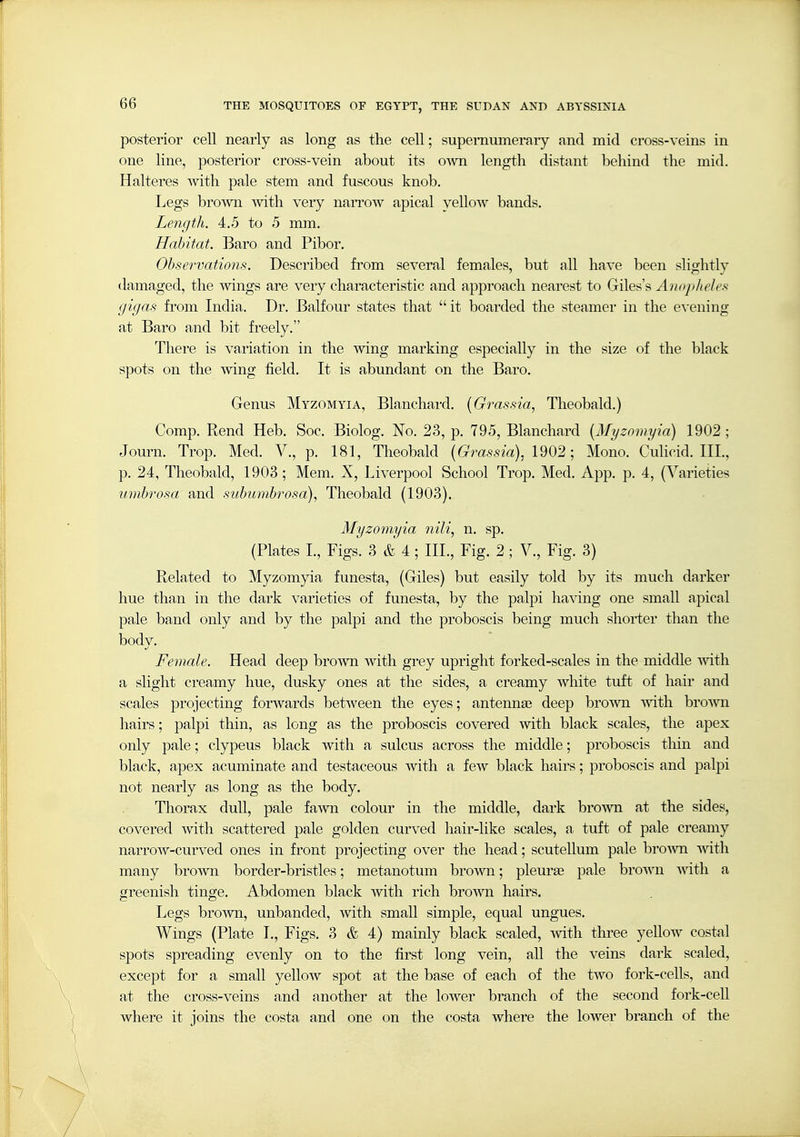 posterior cell nearly as long as the cell; supemumeraiy and mid cross-veins in one line, posterior cross-vein about its own length distant behind the mid. Halteres with pale stem and fuscous knob. Legs brown with very naiTow apical yellow bands. Length. 4.5 to 5 mm. Habitat. Baro and Pibor. Observations. Described from several females, but all have been slightly damaged, the wings are very characteristic and approach nearest to Giles's Aneyplieles gigas from India. Dr. Balfour states that it boarded the steamer in the evening at Baro and bit freely. There is variation in the wing marking especially in the size of the black spots on the wing field. It is abundant on the Baro. Genus Myzomyia, Blanchard. [Grassia, Theobald.) Comp. Rend Heb. Soc. Biolog. No. 23, p. 795, Blanchard {Myzomyia) 1902; Journ. Trop. Med. V., p. 181, Theobald {Grassia), 1902Mono. Culicid. III., p. 24, Theobald, 1903 ; Mem. X, Liverpool School Trop. Med. App. p. 4, (Varieties umhrosa and subumhrosa)., Theobald (1903). Myzomyia nili, n. sp. (Plates I., Figs. 3 & 4; III., Fig. 2 ; V., Fig. 3) Related to Myzomyia funesta, (Giles) but easily told by its much darker hue than in the dark varieties of funesta, by the palpi having one small apical pale band only and by the palpi and the proboscis being much shorter than the body. Female. Head deep brown with grey upright forked-scales in the middle with a slight creamy hue, dusky ones at the sides, a creamy white tuft of hair and scales projecting forwards between the eyes; antenna3 deep brown mth brown hairs; palpi thin, as long as the proboscis covered with black scales, the apex only pale; clypeus black with a sulcus across the middle; proboscis thin and black, apex acuminate and testaceous with a few black hairs; proboscis and palpi not nearly as long as the body. Thorax dull, pale fa^vn colour in the middle, dark bro-svn at the sides, covered with scattered pale golden curved hair-like scales, a tuft of pale creamy narrow-curved ones in front projecting over the head; scutellum pale brown with many broWTi border-bristles; metanotum brown; pleurae pale brown with a greenish tinge. Abdomen black with rich brown hairs. Legs brown, unhanded, with small simple, equal ungues. Wings (Plate I., Figs. 3 & 4) mainly black scaled, mth three yeUow costal spots spreading evenly on to the first long vein, all the veins dark scaled, except for a small yellow spot at the base of each of the two fork-cells, and at the cross-veins and another at the lower branch of the second fork-cell where it joins the costa and one on the costa where the lower branch of the