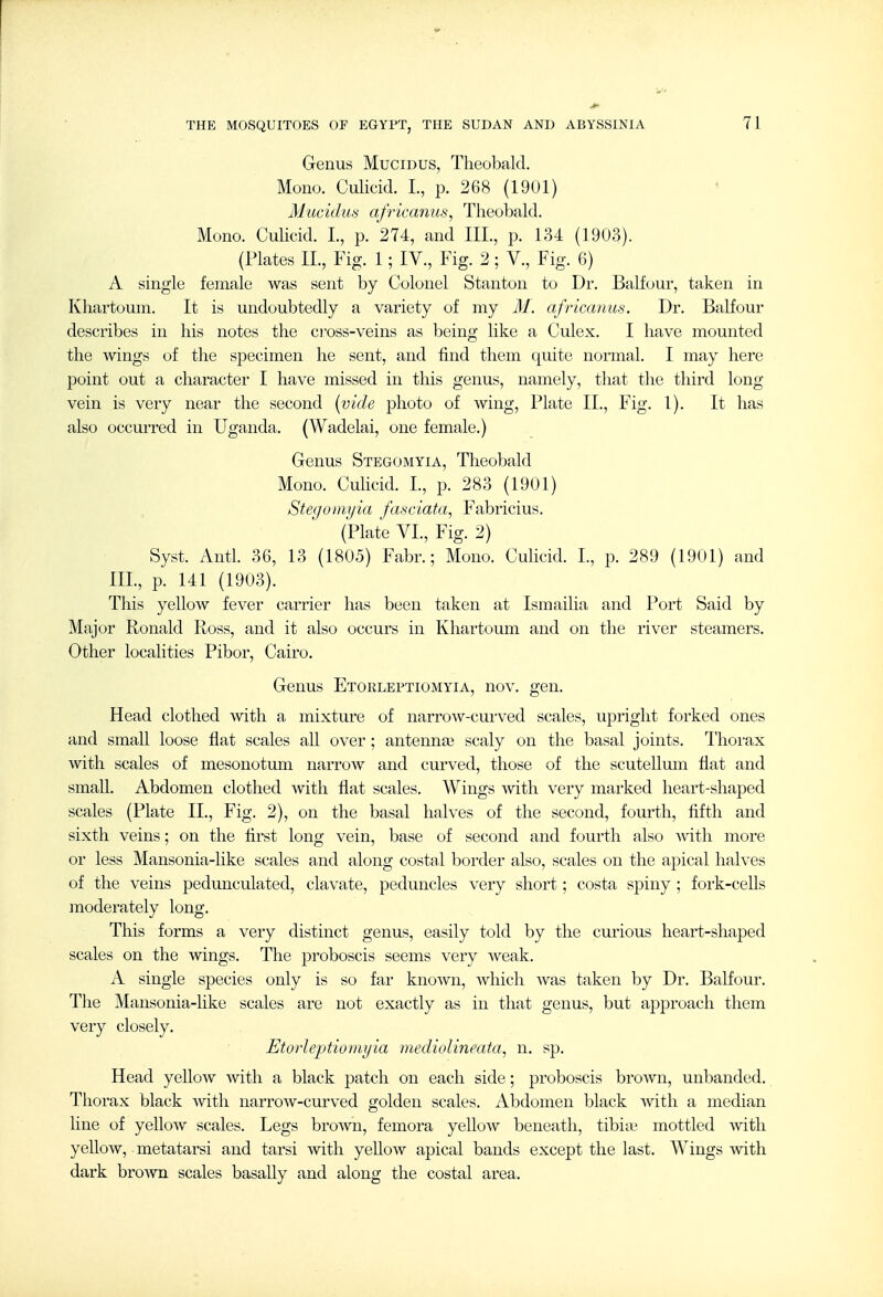 Genus Mucidus, Theobald. Mono. Culicid. I., p. 268 (1901) Mucidus africanus, Theobald. Mono. Culicid. L, p. 274, and III., p. 134 (19U3). (Plates IL, Fig. 1; IV., Fig. 2; V., Fig. 6) A single female was sent by Colonel Stanton to Dr. Balfour, taken in Khartoum. It is undoubtedly a variety of my M. africanas. Dr. Balfour describes in his notes the cross-veins as being like a Culex. I have mounted the wings of the specimen he sent, and find them quite normal. I may here point out a character I have missed in this genus, namely, that the third long vein is very near the second [vide photo of wing, Plate IL, Fig. 1). It has also occurred in Uganda. (Wadelai, one female.) Genus Stegomyia, Theobald Mono. Culicid. I., p. 283 (1901) Stegomyia fasciata, Fabricius. (Plate VI., Fig. 2) Syst. Antl. 36, 13 (1805) Fabr.; Mono. Culicid. I., p. 289 (1901) and III., p. 141 (1903). This yellow fever carrier has been taken at Ismailia and Port Said by Major Ronald Ross, and it also occurs in Khartoum and on the river steamers. Other localities Pibor, Cairo. Genus ETOKLErTiOMYiA, nov. gen. Head clothed with a mixture of narrow-cuived scales, upright forked ones and small loose flat scales aU over; antennae scaly on the basal joints, llioi'ax with scales of mesonotum narrow and curved, those of the scutellum fiat and small. Abdomen clothed with flat scales. Wings with very marked heart-shaped scales (Plate IL, Fig. 2), on the basal halves of the second, fourth, fifth and sixth veins; on the first long vein, base of second and fourth also with more or less Mansonia-like scales and along costal border also, scales on the apical halves of the veins pedunculated, clavate, peduncles very short; costa spiny ; fork-cells moderately long. This forms a very distinct genus, easily told by the curious heart-shaped scales on the wings. The proboscis seems very weak. A single species only is so far known, which was taken by Dr. Balfour. The Mansonia-like scales are not exactly as in that genus, but approach them very closely. Etorleptiomyia mediolineata^ n. sp. Head yeUow with a black patch on each side; proboscis brown, unhanded. Thorax black with narrow-curved golden scales. Abdomen black Avith a median line of yellow scales. Legs brown, femora yeUow beneath, tibiie mottled with yeUow, metatarsi and tarsi with yellow apical bands except the last. Wings with dark brown scales basaUy and along the costal area.