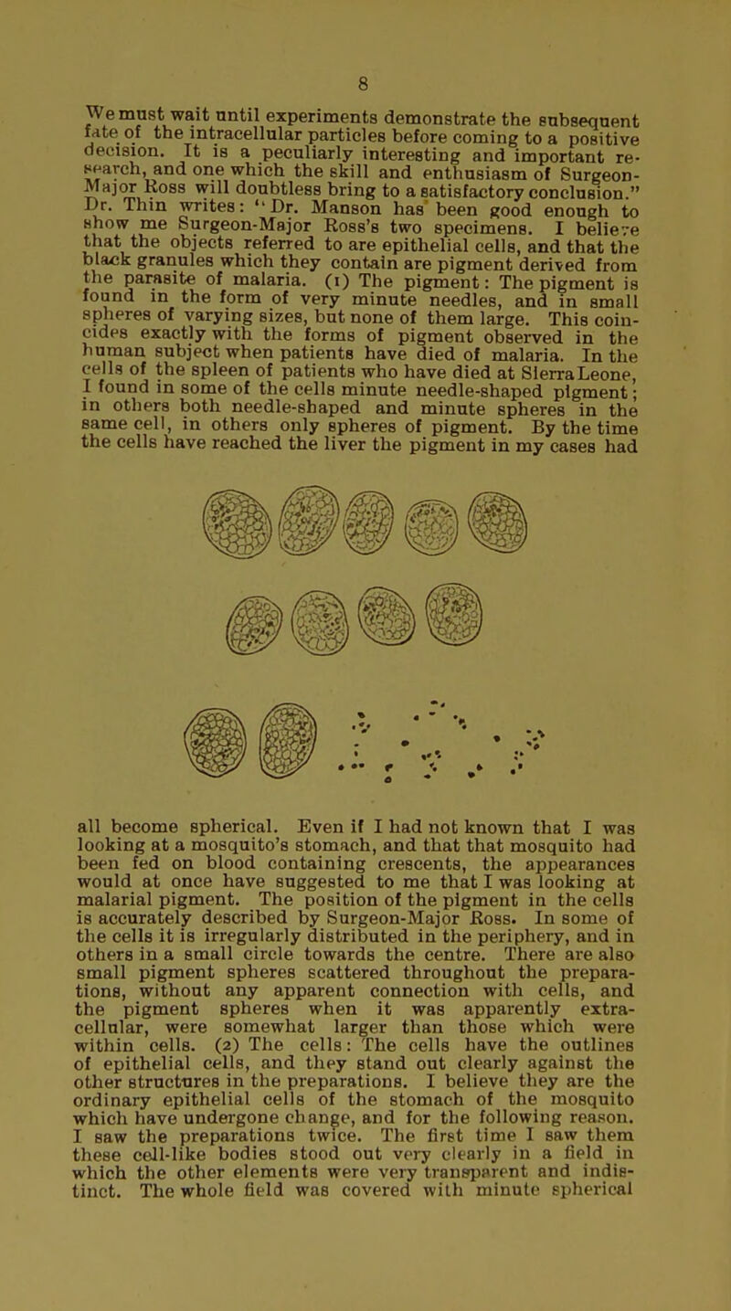 We must wait until experiments demonstrate the subsequent fate of the intracellular particles before coming to a positive decision. It is a peculiarly interesting and important re- search, and one which the skill and enthusiasm of Surgeon- Major Ross will doubtless bring to a satisfactory conclusion. Dr. Thin writes: Dr. Manson has been good enough to show me Surgeon-Major Ross's two specimens. I believe that the objects referred to are epithelial cells, and that the black granules which they contain are pigment derived from the parasite of malaria, (i) The pigment: The pigment is found in the form of very minute needles, and in small spheres of varying sizes, but none of them large. This coin- cides exactly with the forms of pigment observed in the human subject when patients have died of malaria. In the cells of the spleen of patients who have died at SlerraLeone, I found in some of the cells minute needle-shaped pigment; in others both needle-shaped and minute spheres in the same cell, in others only spheres of pigment. By the time the cells have reached the liver the pigment in my cases had all become spherical. Even if I had not known that I was looking at a mosquito's stomach, and that that mosquito had been fed on blood containing crescents, the appearances would at once have suggested to me that I was looking at malarial pigment. The position of the pigment in the cells is accurately described by Surgeon-Major Ross. In some of the cells it is irregularly distributed in the periphery, and in others in a small circle towards the centre. There are also small pigment spheres scattered throughout the prepara- tions, without any apparent connection with cells, and the pigment spheres when it was apparently extra- cellular, were somewhat larger than those which were within cells. (2) The cells: The cells have the outlines of epithelial cells, and they stand out clearly against the other structures in the preparations. I believe they are the ordinary epithelial cells of the stomach of the mosquito which have undergone change, and for the following reason. I saw the preparations twice. The first time I saw them these cell-like bodies stood out very clearly in a field in which the other elements were very transparent and indis- tinct. The whole field was covered with minute spherical