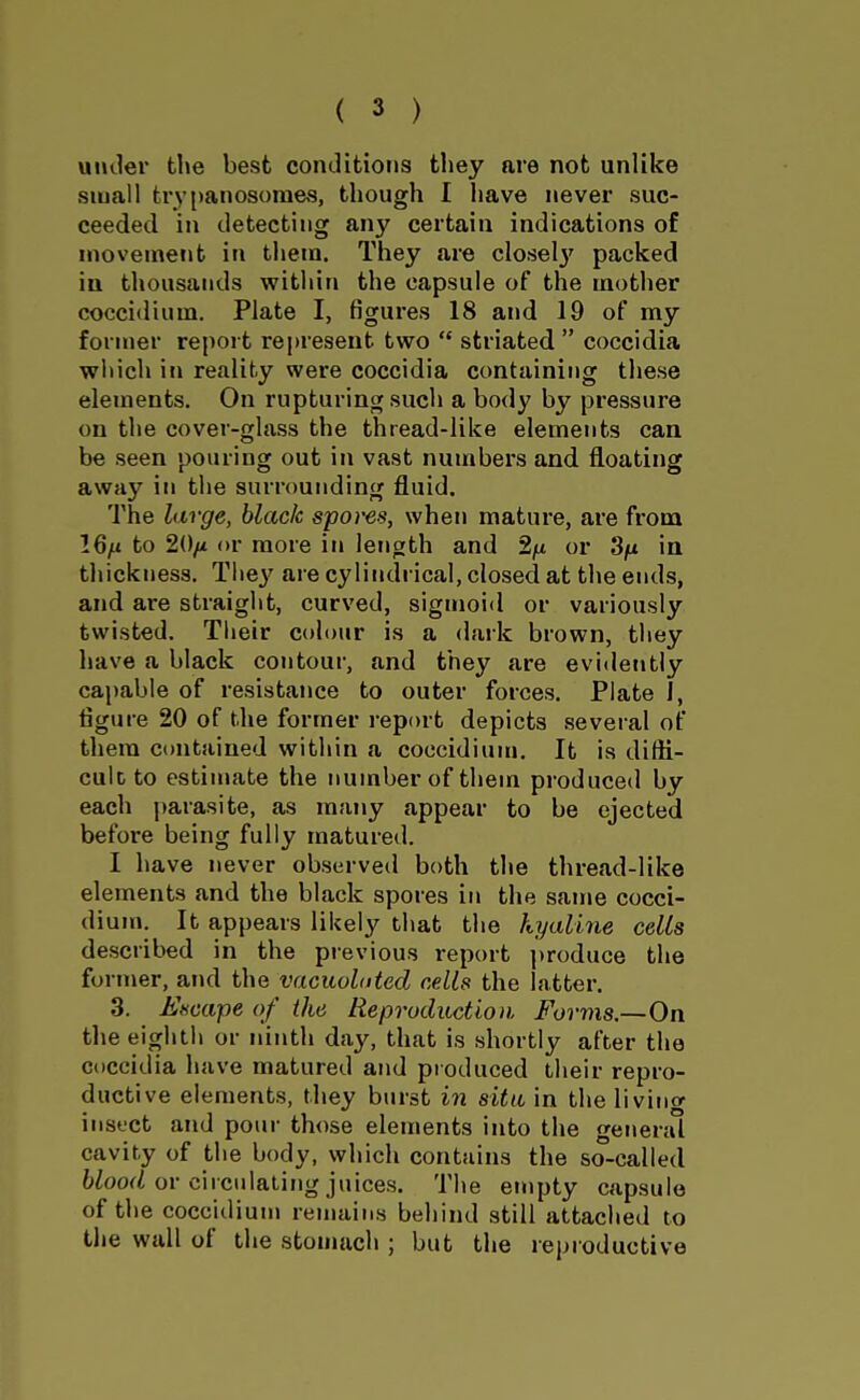 uiuler the best conditions tliey are not unlike small tiypanosoraes, though I have never suc- ceeded in detecting any certain indications of movement in tliein. They are close!}' packed in thousands within the capsule of the motlier coccidium. Plate I, figures 18 and 19 of my former report represent two  striated  coccidia which in reality were coccidia containing these elements. On rupturing such a body by pressure on the cover-glass the thread-like elements can be seen pouring out in vast numbers and floating away in the surrounding fluid. The large, black spores, when matui'e, are from 16ju to 20/i or more in length and 2fi or Sfi in thickness. The}' are cylindrical, closed at the ends, and are straight, curved, sigmoid or variously twisted. Their colour is a dark brown, they have a black contour, and they are evidetitly cajjable of resistance to outer forces. Plate J, figure 20 of the former report depicts several of them contained within a coccidium. It is difti- culc to estimate the number of them produced by each parasite, as many appear to be ejected before being fully matured. I have never observed both the thread-like elements and the black spores in the same cocci- dium. It appears likely that the hyaline cells described in the previous report ])roduGe the former, and the vacuolated cells the latter. 3. Escape of the Reproduction Forms.—On the eighth or ninth day, that is shortly after the coccidia have matured and produced their repro- ductive elements, they burst in situ in the living insect and pour those elements into the general cavity of the body, which contains the so-called 6Zoo^Z or circulating juices. The empty capsule of the coccidiunj remains behind still attached to the wall of the stonuich ; but the reproductive