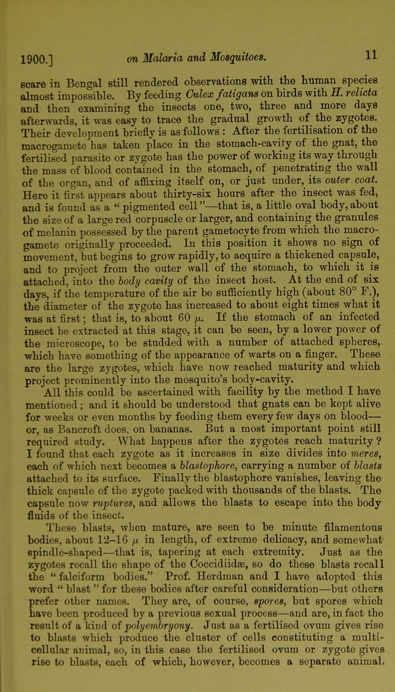 11 scare in Bengal still rendered observations with the human species almost impossible. By feeding Culex fatigans on birds with H. relicta and then examining the insects one, two, three and more days afterwards, it was easy to trace the gradual growth of the zygotes. Their development briefly is as follows : After the fertilisation of the macrogamete has taken place in the stomach-cavity of the gnat, the fertilised parasite or zygote has the power of working its way through the mass of blood contained in the stomach, of penetrating the wall of the organ, and of affixing itself on, or just under, its outer coat. Here it first appears about thirty-six hours after the insect was fed, and is found as a  pigmented cell—that is, a little oval body, about the size of a large red corpuscle or larger, and containing the granules of melanin possessed by the parent gametocyte from which the macro- gamete originally proceeded. In this position it shows no sign of movement, but begins to grow rapidly, to acquire a thickened capsule, and to project from the outer wall of the stomach, to which it is attached, into the body cavity of the insect host. At the end of six days, if the temperature of the air be sufficiently high (about 80° F.), the diameter of the zygote has increased to about eight times what it was at first; that is, to about 60 jx. If the stomach of an infected insect be extracted at this stage, it can be seen, by a lower power of the microscope, to be studded with a number of attached spheres, which have something of the appearance of warts on a finger. These are the large zygotes, which have now reached maturity and which project prominently into the mosquito's body-cavity. All this could be ascertained with facility by the method I have mentioned; and it should be understood that gnats can be kept alive for weeks or even months by feeding them every few days on blood— or, as Bancroft does, on bananas. But a most important point still required study. What happens after the zygotes reach maturity ? I found that each zygote as it increases in size divides into meres, each of which next becomes a hlastophore, carrying a number of Masts attached to its surface. Finally the hlastophore vanishes, leaving the thick capsule of the zygote packed with thousands of the blasts. The capsule now ruptures, and allows the blasts to escape into the body fluids of the insect. These blasts, when mature, are seen to be minute filamentous bodies, about 12-16 /x in length, of extreme delicacy, and somewhat spindle-shaped—that is, tapering at each extremity. Just as the zygotes recall the shape of the Coccidiidse, so do these blasts recall the  falciform bodies. Prof. Herdman and I have adopted this word  blast  for these bodies after careful consideration—but others prefer other names. They are, of course, spores, but spores which have been produced by a previous sexual process—and are, in fact the result of a kind of polyembryony. Just as a fertilised ovum gives rise to blasts which produce the cluster of cells constituting a multi- cellular animal, so, in this case the fertilised ovum or zygote gives rise to blasts, each of which, however, becomes a separate animal.