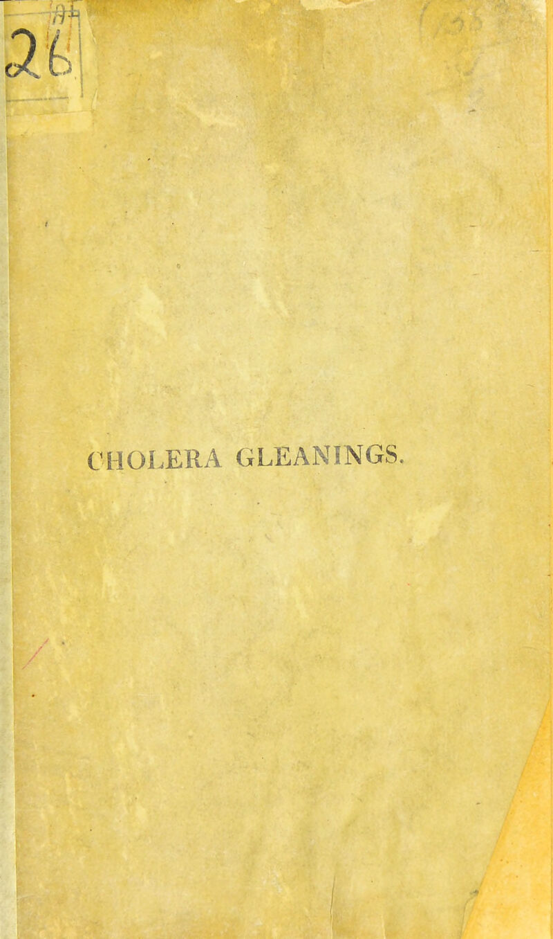 CHOLERA GLEANINGS.