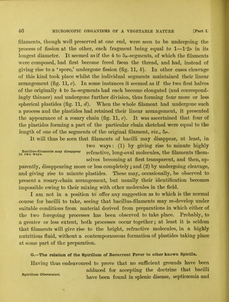filaments, though well preserved at one end, were seen to be undergoing the process of fission at the other, each fragment being equal to 1—1*2^ in its longest diameter. It seemed as if the 4 to 5/A-segments, of which the filaments were composed, had first become freed foom the thread, and had, instead of giving rise to a 'spore,' undergone fission (fig. 11, b). In other cases cleavage of this kind took place whilst the individual segments maintained their linear arrangement (fig. 11, c). In some instances it seemed as if the two first halves of the originally 4 to 5|«.-segments had each become elongated (and correspond- ingly thinner) and undergone further division, thus forming four more or less spherical plastides (fig. 11, d). When the whole filament had undergone such a process and the plastides had retained their linear arrangement, it presented the appearance of a rosary chain (fig. 11, e). It was ascertained that four of the plastides forming a part of the particular chain sketched were equal to the length of one of the segments of the original filament, viz., 5^. It will thus be seen that filaments of bacilli may disappear, at least, in two ways : (1) by giving rise to minute highly in^wo1 ws;ysaments may disappear refractive, long-oval molecules, the filaments them- selves becoming at first transparent, and then, ap- parently, disappearing more or less completely; and (2) by undergoing cleavage, and giving rise to minute plastides. These may, occasionally, be observed to present a rosary-chain arrangement, but usually their identification becomes impossible owing to their mixing with other molecules in the field. I am not in a position to offer any suggestion as to which is the normal course for bacilli to take, seeing that bacillus-filaments may re-develop under suitable conditions from material derived from preparations in which either of the two foregoing processes has been observed to take place. Probably, to a greater or less extent, both processes occur together; at least it is seldom that filaments will give rise to the bright, refractive molecules, in a highly nutritious fluid, without a contemporaneous formation of plastides taking place at some part of the preparation. G.—The relation of the Spirillum of Recurrent Fever to other known Spirilla. Having thus endeavoured to prove that no sufficient grounds have been adduced for accepting the doctrine that bacilli spmiium obennexen. have keen foun(i m splenic disease, septicaemia and