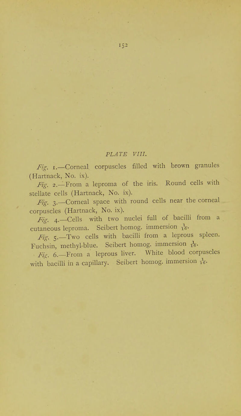 p/g, i—Corneal corpuscles filled with brown granules (Hartnack, No. ix). pig, 2.—From a leproma of the iris. Round cells with stellate cells (Hartnack, No. ix). pig, 3._Corneal space with round cells near the corneal corpuscles (Hartnack, No. ix). Pig, 4. Cells with two nuclei full of bacilli from a cutaneous leproma. Seibert homog. immersion ft. Pig, 5.—Two cells with bacilli from a leprous spleen. Fuchsin, methyl-blue. Seibert homog. immersion ft. pig, 6.—From a leprous liver. White blood corpuscles with bacilli in a capillary. Seibert homog. immersion ft.