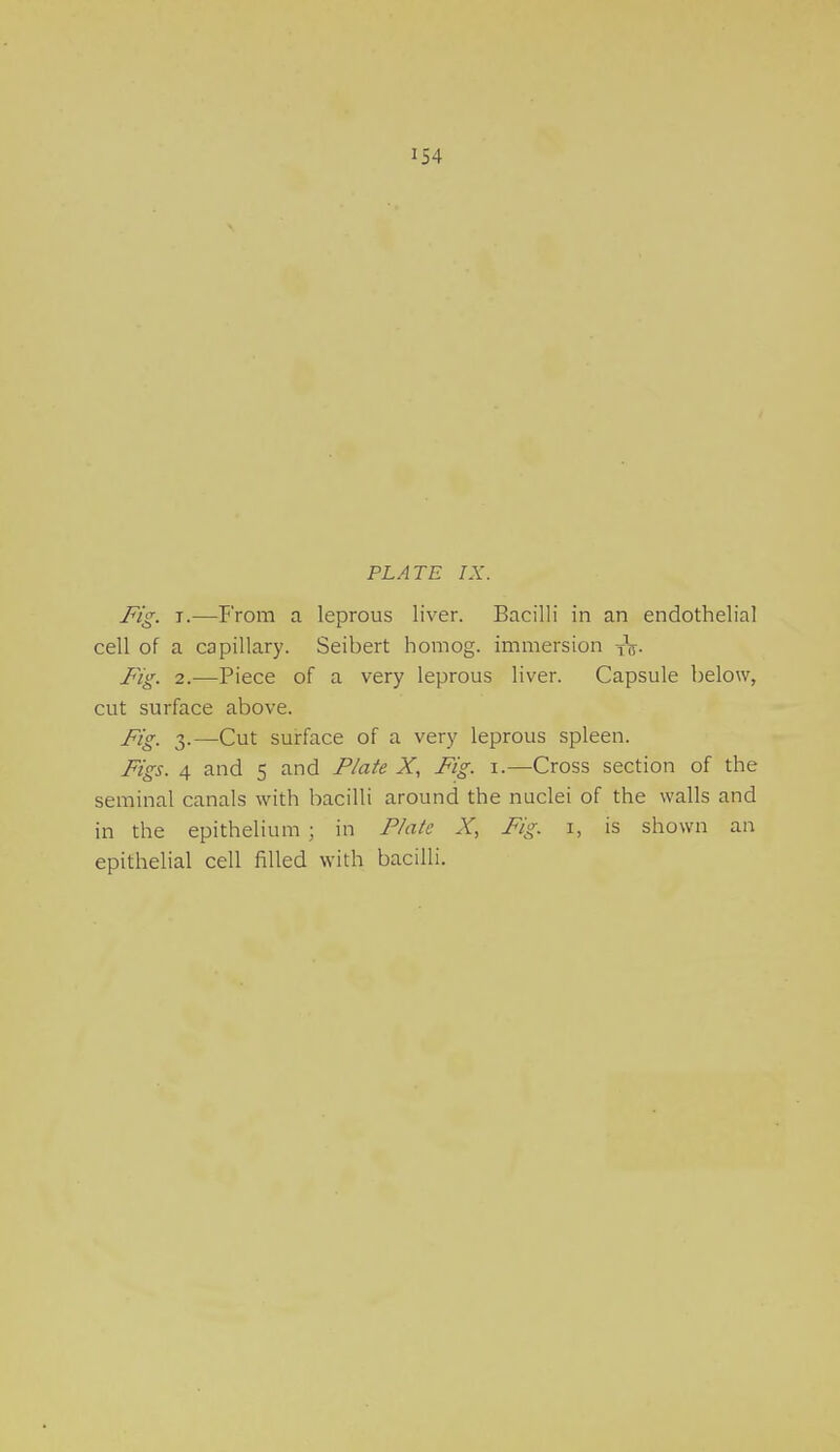 154 PLATE IX. Fig. t.—From a leprous liver. Bacilli in an endothelial cell of a capillary. Seibert homog. immersion ^g-. Fig. 2.—Piece of a very leprous liver. Capsule below, cut surface above. Fig. 3.—Cut surface of a very leprous spleen. Figs. 4 and 5 and Plate X, Fig. 1.—Cross section of the seminal canals with bacilli around the nuclei of the walls and in the epithelium ; in Plate X, Fig. 1, is shown an epithelial cell filled with bacilli.