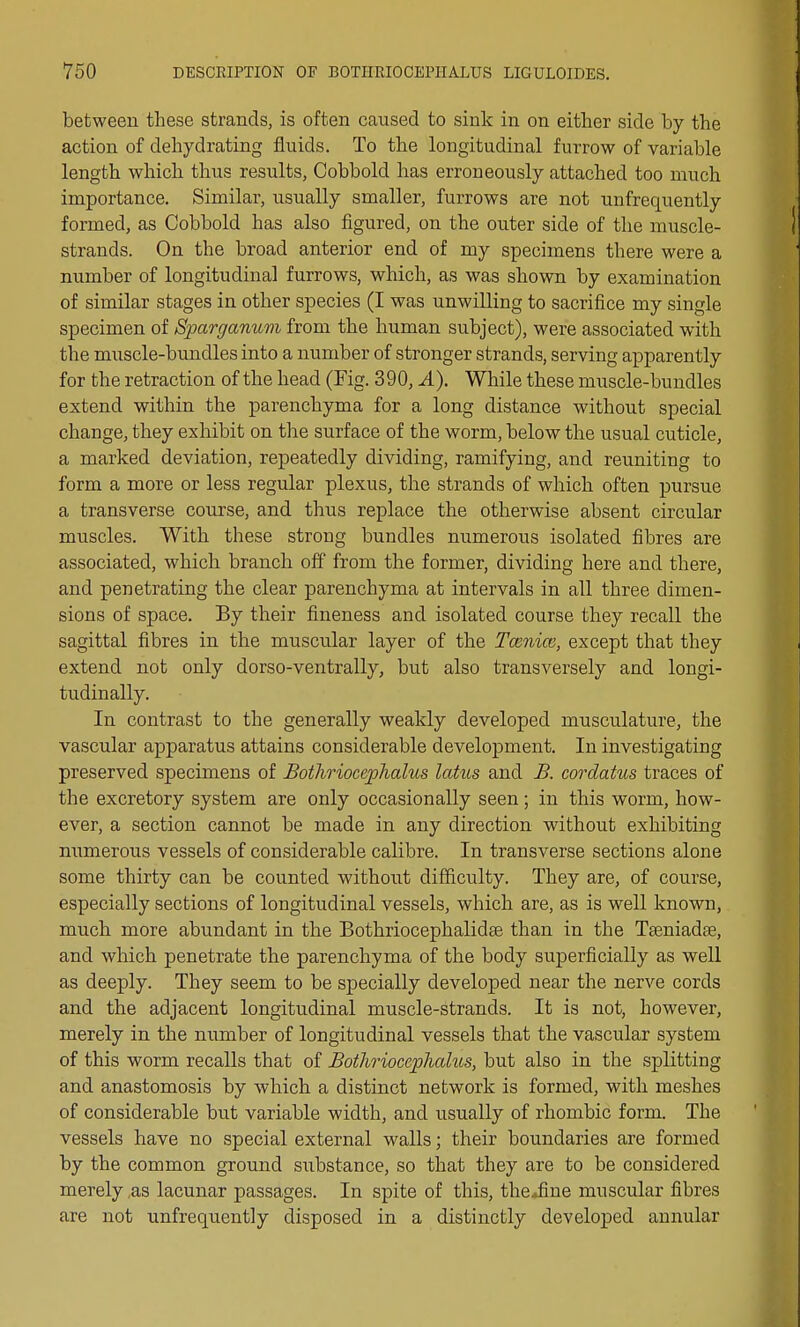 between these strands, is often caused to sink in on either side by the action of dehydrating fluids. To the longitudinal furrow of variable length which thus results, Cobbold has erroneously attached too much importance. Similar, usually smaller, furrows are not unfrequently formed, as Cobbold has also figured, on the outer side of the muscle- strands. On the broad anterior end of my specimens there were a number of longitudinal furrows, which, as was shown by examination of similar stages in other species (I was unwilling to sacrifice my single specimen of Sparganum from the human subject), were associated with the muscle-bundles into a number of stronger strands, serving apparently for the retraction of the head (Fig. 390, A). While these muscle-bundles extend within the parenchyma for a long distance without special change, they exhibit on the surface of the worm, below the usual cuticle, a marked deviation, repeatedly dividing, ramifying, and reuniting to form a more or less regular plexus, the strands of which often pursue a transverse course, and thus replace the otherwise absent circular muscles. With these strong bundles numerous isolated fibres are associated, which branch off from the former, dividing here and there, and penetrating the clear parenchyma at intervals in all three dimen- sions of space. By their fineness and isolated course they recall the sagittal fibres in the muscular layer of the Tcenice, except that they extend not only dorso-ventrally, but also transversely and longi- tudinally. In contrast to the generally weakly developed musculature, the vascular apparatus attains considerable development. In investigating preserved specimens of Bothriocephalus latus and B. cordatus traces of the excretory system are only occasionally seen; in this worm, how- ever, a section cannot be made in any direction without exhibiting numerous vessels of considerable calibre. In transverse sections alone some thirty can be counted without difficulty. They are, of course, especially sections of longitudinal vessels, which are, as is well known, much more abundant in the Bothriocephalidae than in the Teeniadas, and which penetrate the parenchyma of the body superficially as well as deeply. They seem to be specially developed near the nerve cords and the adjacent longitudinal muscle-strands. It is not, however, merely in the number of longitudinal vessels that the vascular system of this worm recalls that of Bothriocephalus, but also in the splitting and anastomosis by which a distinct network is formed, with meshes of considerable but variable width, and usually of rhombic form. The vessels have no special external walls; their boundaries are formed by the common ground substance, so that they are to be considered merely as lacunar passages. In spite of this, theJine muscular fibres are not unfrequently disposed in a distinctly developed annular