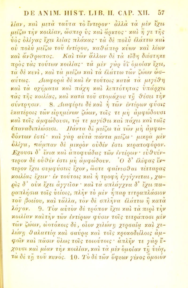 λίαν, καϊ μετά ταύτα τόεντερον αλλά τα μεν Ι'χεί μείζω την κοιλίαν, ωσπερ υς χαί άρκτος ■ ν.αϊ η γε της νός ολίγας εχει λείας πλάκας· τά δέ ηολυ έλαττω καΐ ού πολύ μείζω του έντέοον, καΟάπεο κύων και λέων καϊ αν&ρωπος. Καϊ των άλλων δε τα είδη διέοτηχΒ προς τάς τούτων κοιλίας· τά μεν γι/ο υϊ όμοΐαν εχει, τα δε κννΐ, και τα μείζω καϊ τά ϊλαττω των ζωων ωσ- αύτως. Λιαφορα <5« και ε'ν τοντοις κατα τα μεγέ&τι καϊ τά οχήματα και πάχη καϊ λεπτότητας νπάρχει τα; της κοιλίας, καϊ κατα τοϋ στομάχου τΐ] χρίσει την σνντρησιν. 8. ζΐιαφέοει δέ καϊ ή των εντέρων φνσις ίκατέοοις των εϊρημένων ζωων, τοις τε μη άμψώδουσι «αϊ τοις άμψώδουσι, τω τε μεγέΟει καϊ πάχει καΐταΐς (παναδιπλώσεαι. Πάντα δέ μείζω τά των μη αμφω- δοντοιν εστί' κιά γαρ αυτά πάντα μείζω· μικρά μεν ολίγα, παμπαν δε) μικρόν ουδέν έστι κερατοφορον. Εχανσι ό' ενια καϊ άποψυάδας των εντέρων ενΟυέν- ■τερον δέ ουθέν έστι μη άμψώδουν. Ό <5' έλέψας ΐν~ τερον ΐ/ει σνμφνσεις ε'χον, ώστε ψαίνεαΟ αι τέτταρας αοιλίας έχειν έν τούτοις καϊ η τροφή έγγίγνεται, χω- ρίς δ' ουκ 'έχει αγγεϊον ■ καϊ τα σπλάγχνα <5' εχει πα~ ραπλησια τοΤς νείοις, πλην το μεν ήπαρ τπραπλάσιον του βοείου, καϊ τάλλα, τον δέ σπλήνα έλάττω η κατα λογον. 9. Τον αυτόν δέ τρόπον έχει καϊ τά ηερί την ■κοιλίαν καϊτην των εντέρων φύσιν τοίς τετράποσι μεν των ζωων, ωοτόκοις δέ , ο'ιυν χελώνη χερσαία καϊ χε- λωντ) ϋαλαιτία καϊ σαύρα καϊ τόΐς κροκοδείλοις άμ- φυΊν καϊ πάσιν όλως τοις τοιοντοις' άπλην τε γάρ ε- χουσι καϊ μίαν την κοιλίαν, καϊ τα μεν όμοΐαν τη νεΐα, τα δέ τι} τοϋ κυνός. 10. Το δέ των όψεων γένος ομοιυν