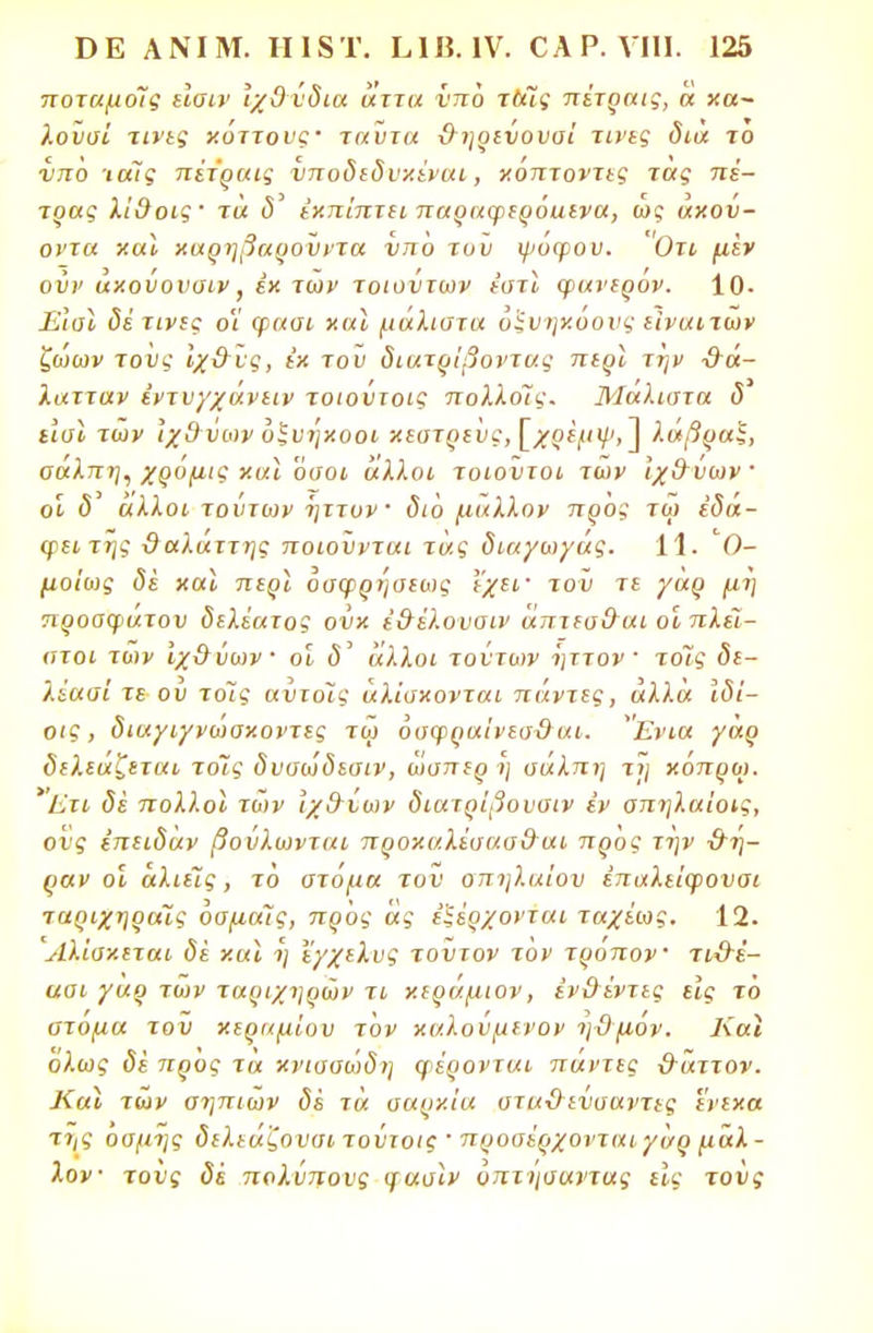 ποταμοΊς εισιν Ίχβύδια άττα νπο ταΊς πέτραις, α κα~ λουσί τίνες κόττονς· ταύτα ϋ ηρεύουσ'ι τίνες δια το νπο -ιοίϊς πέτραις νποδεδνχέναι, κόπτοντας τας πέ- τρας λί&οις' τα δ' εκπίπτει παραφερόαενα, ως άκού- οντα χα* καρηβαρούντα νπο τυυ ψόφου. Οτι μεν ούν άκούουσιν, έκ των τοιούτων εστί φανερόν. 10- Έισι δέ τίνες ο'ϊ φαοι καϊ μάλιατα όξνηκοονς εϊναιτων ζώων τους ίχ&ις, εκ του διατρίβοντας περί την -&ά- λατταν έντυγχανειν τοιουτοις πολλοίς. Μάλιστα δ ε'ισΐ των ίχθ ύων όξυηκοοι κεοτρευς, [χρέμψ, ] λάβρα!;, σαλπη, χρομις καϊ όσοι άλλοι τοιούτοι των ίχ&νων ■ οΐ δ' άλλοι τούτων ήττον διό μάλλον προς τω έδά- φειτής ΰαλάττης ποιούνται τάς διαγωγάς. 11. ^Ο- μοίως δε καϊ περϊ οσφρήσεως Ι'χεί' του τε γάρ μη προσφάτου δελέατος ονκ έ&έλουσιν άπτεα&αι οι πλεί- στοι των ιχ&ύων οι <5' άλλοι τούτων ήττον · τοϊς δε- λέασί τε ου τοΊς αντοϊς άλϊσκονται πάντες, αλλά ιδί- οις, διαγιγνωσκοΐ'τες τω όσφραίνεσ&αι. *Ένια γάρ δελεάζεται τοις δυσώδεσιν, ώσπερή σάλπη τη κόπρο). 'Έτι δέ πολλοί των ίχ&ίων διατρίβουσιν εν απηλαίοις, ονς επειδάν βούλωνται προκαλέσασ&αι προς την ■9-η- ραν οι άλιέϊς, τό στόμα τον οπηλαίον έπαλείφονσι ταριχηραϊς όσμαΐς, προς άς εξέρχονται ταχέως. 12. Άλίσκεται δέ και ή εγχελυς τούτον τον τρόπον τι&έ- ααι γαρ των ταριχηρών τι κεραμιον, εν&έντες εις τό στόμα τον κεραμίου τον καλονμενον ηΟμον. Καϊ όλως δέ προς τά κνισσώδη φέρονται πάντες &άττον. Και των σηπιων δέ τά σαρκία στα&ενσαντες ένεκα της οσμΐ]ς δελεάζονσι τούτοις ' προσέρχονται γάρ μάλ- λον τους δέ πολύπονς φασιν υπτήσαντας εις τον ς