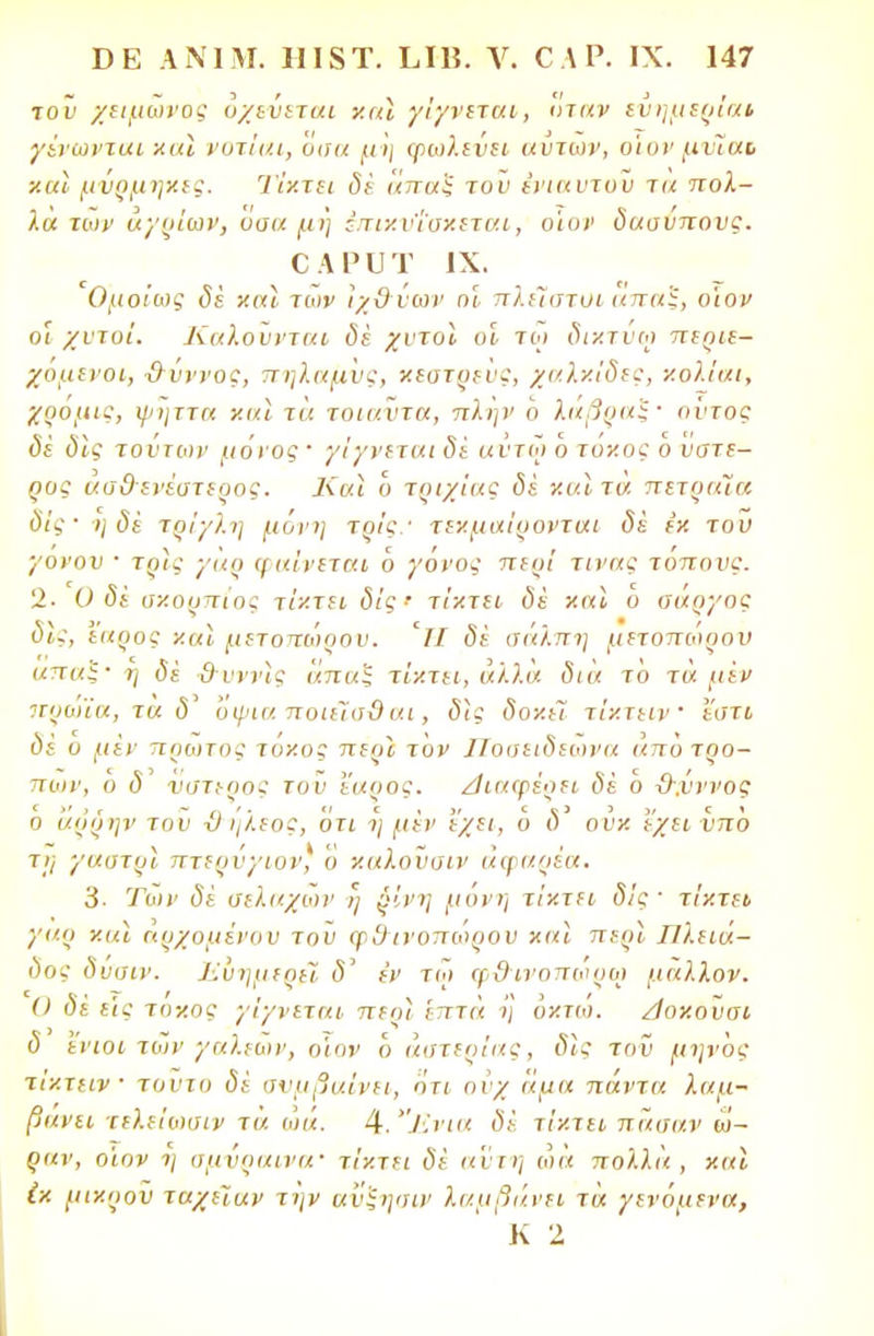 του χειμωνος υχεΰεται χαϊ γίγνεται, όταν εΰημερίαι, γϊνωνται χαϊ νοτίαι, οσα μη φωλενει αντων, οίον μνϊαί χαϊ μνρμηκες. Τίκτει δέ άπαξ του ένιαυτον τα πολ- λά των άγριων, οοα μη ζπιχν'ΐαχεται, οϊοι· δασύπονς. ο α ρ υ τ ιχ. Ομοίως δέ και των Ιχ&υων ηί πλείστοι άπαξ, ο'ιον οι χντυί. Καλούνται δέ χυτοί οι τω διχτυοι περιε- χόμενοι, χλυννος, πηλαμνς, χεστρευς, χαΧν.ίδες, χολίαι, χρομις, ψηττα χαι τα τοιαύτα, πλην ο λαβραξ· ούτος δε' δις τούτων μόνος · γίγνεται δε αύτω Ό τόκος ο ύστε- ρος ασθενέστερος. Και ο τριχίας δέ χαιτά πετραΐα νίς' η δέ τρι'χλη μόνη τοις · τεκμαίρονται δέ εκ του γονον · τρ}ς γαρ φαίνεται ο γόνος περί τινας τοπονς. '2- Ο δε σκορπιός τίκτει δις ' τίκτει δέ και ό σάργος δίς, εαοος καΐ μετοπώρου. Ή δέ σάλπη μετοπώρου άπαξ· η δέ θνινϊς άπαξ τίκτει, άλλα δια το τά μεν ιζρωϊα, τα δ οψια ποιεί'σϋ αι, δ\ς δοκεϊ τίχτειν' ί'στι δΐ ο μεν πρώτος τάχος περί τον Ποσειδιωνα άπότρο- πων, υ <5' νατερος τον έαρος, διαφέρει δέ ο -Ο-,νννος ο άρόην του χ) ήλεος, ότι η μεν έχει, 6 δ' ουκ εχει υπό τΐ'ι γαατρϊ πτερνγιον, ο χαλονσιν άφαρέα. 3- Των δέ σελαχων η ρίνη μόνη τίκτει δίς ■ τίκτει γαρ και αρχομένον του φθινοπώρου και περί Πλειά- δος δυσιν. Ευημερεί δ' εν τω φ>3ινοπώρω μάλλον. Ο δέ εις τοχος γίγνεται πεοι επτά η οκτώ. /ίοκονσι δ ενιοι των γαλέων, οίον ο αστερίας, δίς τού μηνός τίκτειν · τοντο δέ αναβαίνει, ότι ονχ άμα πάντα λαμ- βάνει τελείωαιν τά ο>ά. %.'Ένια δέ τίκτει πάσαν ω- ραν, οίον ι\ σμνραινα' τίκτει δέ αν ι η ωά πολλά, και Ιχ μικρόν ταχεϊαν την ανξησιν λαμβάνει τά γενόμενα, Κ 2