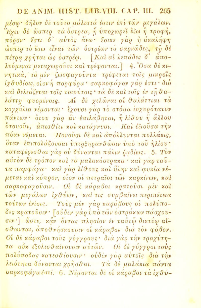 μέσον δηλον δέ τούτο μάλιστα ϊστιν έπϊ των μεγάλων. Έχει δέ ωσπερ τα όατρεα, η νποχωρέϊ ε|ω >/ τροφή, πόρον εστι δ' αυτός άνω· εοικε γαρ η ανάληψη ωσπερ τυ εσω είναι των όστριων το σαρκώδες, τι/ <5έ πέτρα χρηται ως όστρέο). [Και αι λεπάδες δ απο- λνόμεναι μεταχωρονσι και τρέφονται.] 4- Οσα δέ κι- νητικά, τα μεν ζωοφαγοιντα τρέφεται το~ις μικροίς ίχθ υδίοις, οϊον η πορφύρα σαρκοψαγον γαρ εστί διο και δελεάζεται τοις τοιούτοις' τά δέ καϊτοΊς εν τη&α- λαττη ψνομένοις. Αι δέ χελωναι άί ϋαλαττιαι τα κογχύλια νέμονται· εχουσι γαρ το στόμα ισχνρότατον πάντων ότου γαρ άν έπιλάβηται, ηλί&ου ή άλλον οτουονν, άπεαϋίει και κατάγννσι. Καϊ έϊιούσα την ποαν νέμεται. Πυνονοι δέ και άπόλλννται πολλάκις, όταν έπιπολάζουσαι νπερζηρανϋωσιν νπό τον ηλ'ιον καταφέρεσϋαι γαρ ου δύνανται πάλιν όαδίως. 5. Τον αυτόν δέ τρόπον καϊ τα μαλακόστρακα ■ καϊ γαρ ταύ- τα παμφάγα · και γαρ λίΟ ονς καϊ νλην καϊ φυκία νέ- μεται και κοπρον, οίον οι πετραϊοι των καρκίνων, καϊ σαρκοφαγοϋσιν. Οι δέ κάραβοι κρατονσι μεν και των μεγάλων ιχ&νων, και τις συμβαίνει περιπέτεια τοντοιν ενίοις. Τους μέν γαρ καράβονς οι πολύπο- δες κρατονσιν [ουδέν γαρ ίπό των όστρακων πασχον- οιν ·] 0)στε, καν όντας πλησίον έν ταντω δικτυω αΐ- ο&ωνται, άποϋ νησκονσιν οι κάραβοι δια τον φόβον. Οι δέ καραβοι τους γόγγηους · δια γαρ την τραχύτη- τα ουκ έξολια&αίνονοιν αντων. ()ί δέ γυγγροι τονς πολύποδας κατεσΟ ίονσιν ' ούδϊν γαρ αύτοΊς δια την ληοτητα δύνανται χρι,σΟια. Ί α δέ μαλάκια πάντα οαρκοφάγα εστί, (]. Νέμονται δέ οι κάραβοι ταίχΟν-