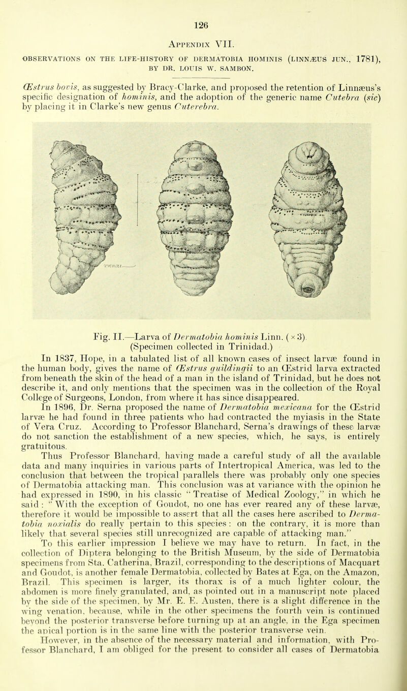 Appendix VII. OBSERVATIONS ON THE LIFE-HISTORY OF DERMATOBIA HOMINIS (LINNtEUS JUN.. 1781), BY DR. LOUIS W. SAMBON. (Esti'us bovis, as suggested by Bracy-Clarke, and pro])osed the retention of Linnaeus's specific designation of hominis, and the adoption of the generic name Cutehra {sic) by placing it in Clarke's new genus Cuterehra. Fig. II.—Larva of Dermatohia hominis Linn. ( x 3). (Specimen collected in Trinidad.) In 1837, Hope, in a tabulated list of all known cases of insect larvas found in the human body, gives the name of CEstrus guildingii to an CEstrid larva extracted from beneath the skin of the head of a man in the island of Trinidad, but he does not describe it, and only mentions that the specimen was in the collection of the Royal College of Surgeons, London, from where it has since disappeared. In 1896, Dr. Serna proposed the name of Dermatohia mexicana for the CEstrid larvae he had found in three patients who had contracted the myiasis in the State of Vera Cruz. According to Professor Blanchard, Serna's drawings of these larvae do not sanction the establishment of a new species, which, he says, is entirely gratuitous. Thus Professor Blanchard, having made a careful study of all the available data and many inquiries in various parts of Intertropical America, was led to the conclusion that between the tropical parallels there was probably only one species of Dermatobia attacking man. This conclusion was at variance with the opinion he had expressed in 1890, in his classic  Treatise of Medical Zoology, in which he said :  With the exception of Goudot, no one has ever reared any of these larvae, therefore it would be impossible to assert that all the cases here ascribed to Derma- tohia noxialis do really pertain to this species : on the contrary, it is more than likely that several species still unrecognized are capable of attacking man. To this earlier impression I believe we may have to return. In fact, in the collection of Diptera belonging to the British Museum, by the side of Dermatobia specimens from Sta. Catherina, Brazil, corresponding to the descriptions of Macquart and Goudot, is another female Dermatobia, collected by Bates at Ega, on the Amazon, Brazil. This specimen is larger, its thorax is of a much lighter colour, the abdomen is more finely granulated, and, as pointed out in a manuscript note })laced by the side of the specimen, by Mr. E. E. Austen, there is a slight difference in the wing venation, because, while in the other specimens the fourth vein is continued beyond the posterior transverse before turning up at an angle, in the Ega specimen the apical portion is in the same line with the posterior transverse vein. However, in the absence of the necessary material and information, with Pro- fessor Blanchard, I am obliged for the present to consider all cases of Dermatobia