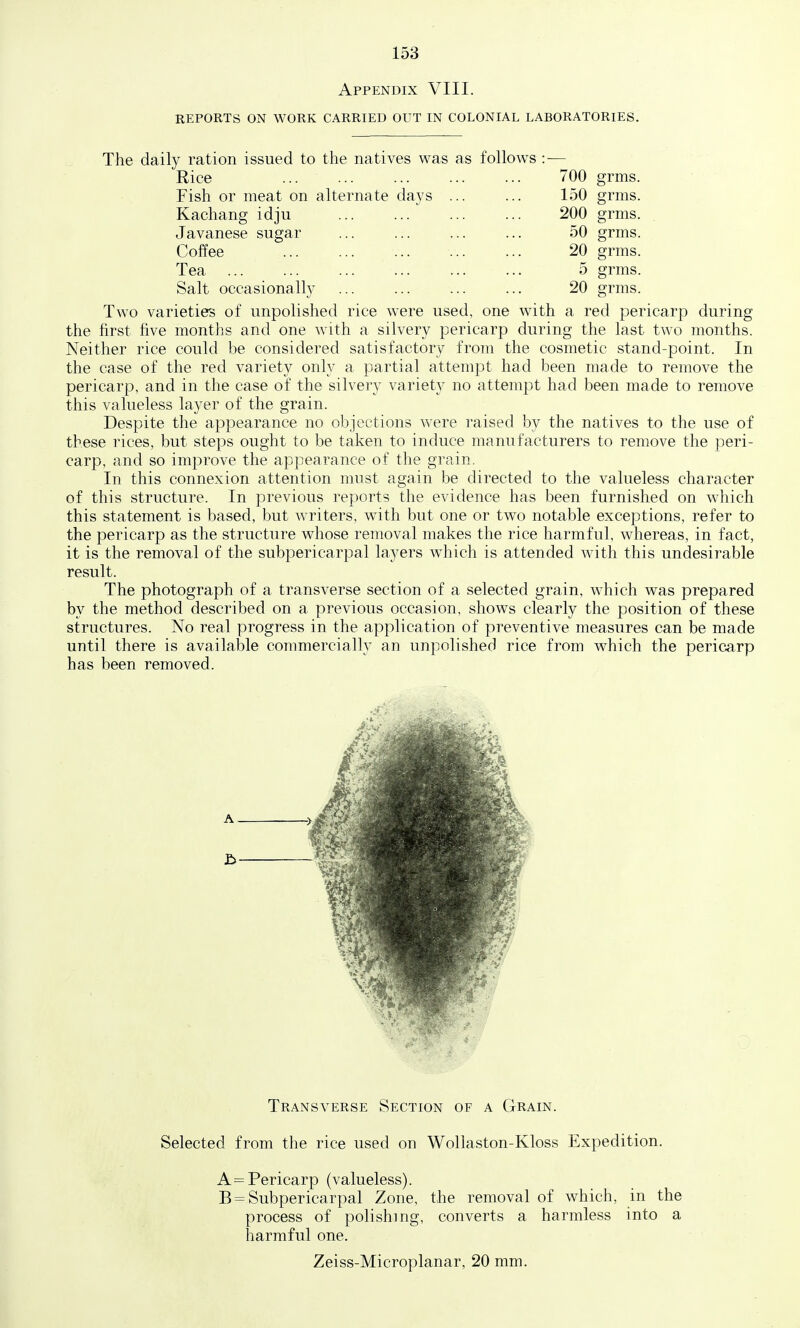 Appendix VIII. REPORTS ON WORK CARRIED OUT IN COLONIAL LABORATORIES. The daily ration issued to the natives was as follows :— Rice ... 700 grms. Fish or meat on alternate days ... ... 150 grms. Kachang idju 200 grms. Javanese sugar 50 grms. Coffee 20 grms. Tea 5 grms. Salt occasionally ... ... ... ... 20 grms. Two varieties of unpolished rice were used, one with a red pericarp during the first five months and one with a silvery pericarp during the last two months. Neither rice could be considered satisfactory from the cosmetic stand-point. In the case of the red variety only a partial attempt had been made to remove the pericarp, and in the case of the silvery variety no attempt had been made to remove this valueless layer of the grain. Despite the appearance no objections were raised by the natives to the use of these rices, but steps ought to be taken to induce manufacturers to remove the peri- carp, and so improve the appearance of the grain. In this connexion attention must again be directed to the valueless character of this structure. In previous reports the evidence has been furnished on which this statement is based, but writers, with but one or two notable exceptions, refer to the pericarp as the structure whose removal makes the rice harmful, whereas, in fact, it is the removal of the subpericarpal layers which is attended with this undesirable result. The photograph of a transverse section of a selected grain, which was prepared by the method described on a previous occasion, shows clearly the position of these structures. No real progress in the application of preventive measures can be made until there is available commercially an unpolished rice from which the pericarp has been removed. Transverse Section of a Grain. Selected from the rice used on Wollaston-Kloss Expedition. A = Pericarp (valueless). B= Subpericarpal Zone, the removal of which, in the process of polishing, converts a harmless into a harmful one. Zeiss-Microplanar, 20 mm.