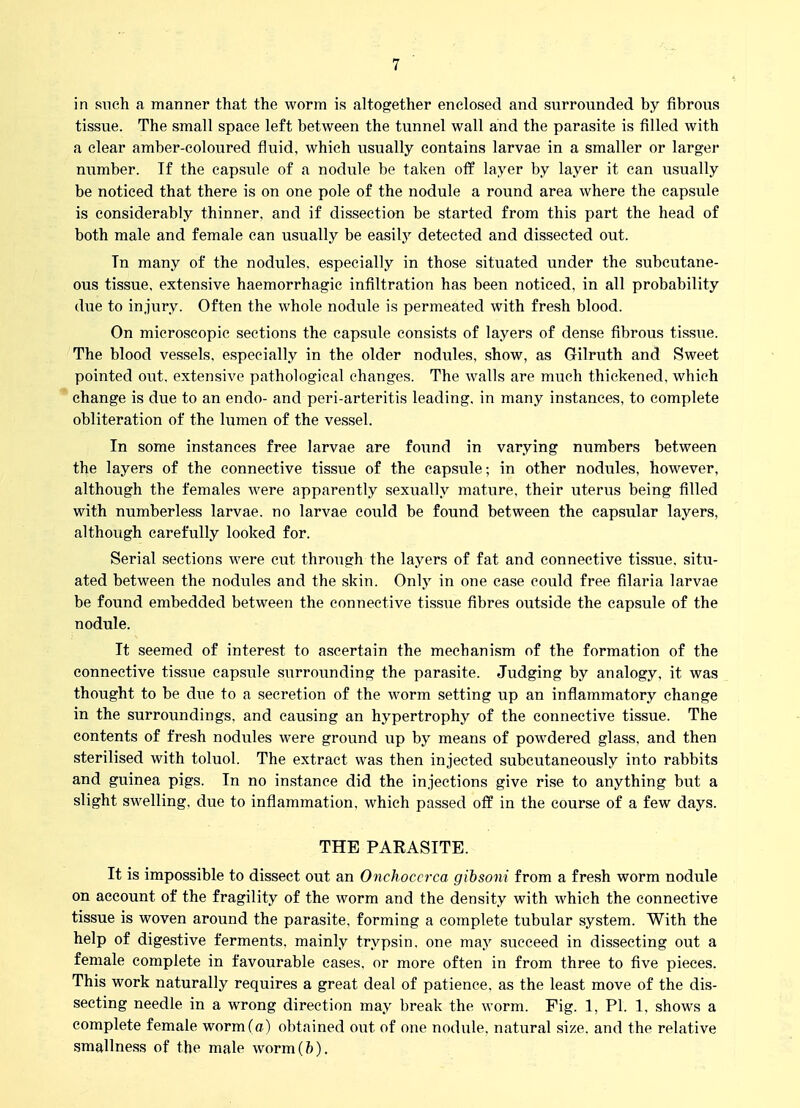 in sneh a manner that the worm is altogether enclosed and surrounded by fibrous tissue. The small space left between the tunnel wall and the parasite is filled with a clear amber-coloured fluid, which usually contains larvae in a smaller or larger number. If the capsule of a nodule be taken off layer by layer it can usually be noticed that there is on one pole of the nodule a round area where the capsule is considerably thinner, and if dissection be started from this part the head of both male and female can usually be easil.y detected and dissected out. Tn many of the nodules, especially in those situated under the subcutane- ous tissue, extensive haemorrhagic infiltration has been noticed, in all probability due to injury. Often the whole nodule is permeated with fresh blood. On microscopic sections the capsule consists of layers of dense fibrous tissue. The blood vessels, especially in the older nodules, show, as Gilruth and Sweet pointed out. extensive pathological changes. The walls are much thickened, which change is due to an endo- and peri-arteritis leading, in many instances, to complete obliteration of the lumen of the vessel. In some instances free larvae are found in varying numbers between the layers of the connective tissue of the capsule; in other nodules, however, although the females were apparently sexually mature, their uterus being filled with numberless larvae, no larvae could be found between the capsular layers, although carefully looked for. Serial sections were cut through the layers of fat and connective tissue, situ- ated between the nodules and the skin. Only in one case could free filaria larvae be found embedded between the connective tissue fibres outside the capsule of the nodule. It seemed of interest to ascertain the mechanism of the formation of the connective tissue capsule surrounding the parasite. Judging by analogy, it was thought to be due to a secretion of the worm setting up an inflammatory change in the surroundings, and causing an hypertrophy of the connective tissue. The contents of fresh nodules were ground up by means of powdered glass, and then sterilised with toluol. The extract was then injected subcutaneously into rabbits and guinea pigs. In no instance did the injections give rise to anything but a slight swelling, due to inflammation, which passed off in the course of a few days. THE PARASITE. It is impossible to dissect out an Onchocerca gihsoni from a fresh worm nodule on account of the fragility of the worm and the density with which the connective tissue is woven around the parasite, forming a complete tubular system. With the help of digestive ferments, mainly trypsin, one may succeed in dissecting out a female complete in favourable cases, or more often in from three to five pieces. This work naturally requires a great deal of patience, as the least move of the dis- secting needle in a wrong direction may break the worm. Fig. 1, PI. 1, shows a complete female worm (a) obtained out of one nodule, natural size, and the relative smallness of the male worm (ft).