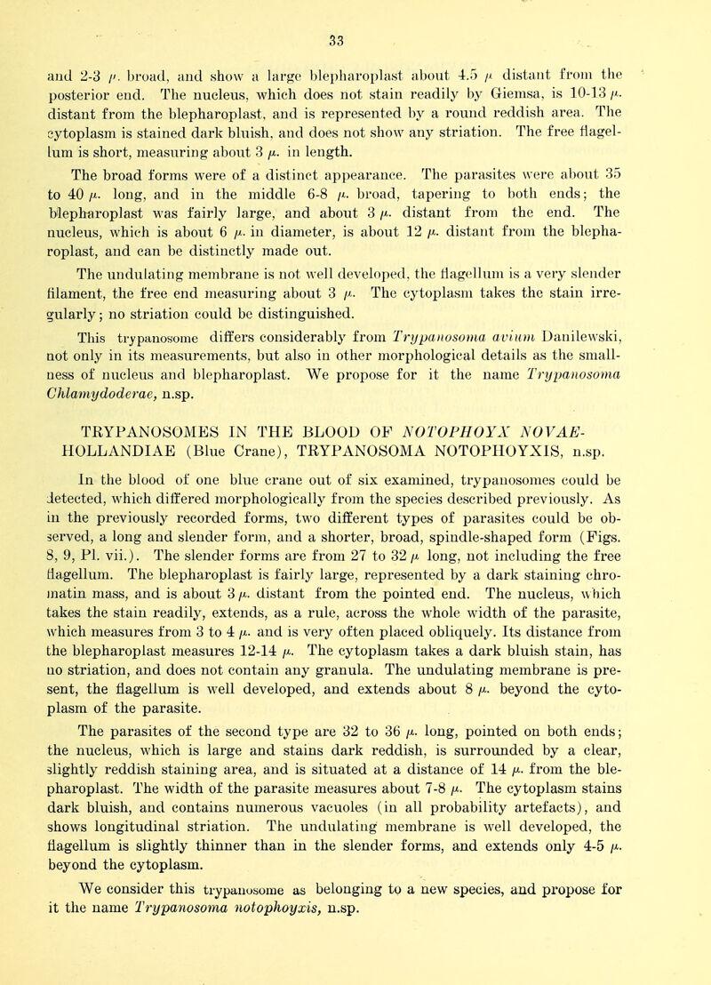 aud 2-8 //. broad, and show a \-dvgv blepharoplast al)out 4.5 // distant fi'oiii the posterior end. The nucleus, which does not stain readily by Gienisa, is 10-13 /x. distant from the blepharoplast, and is represented by a round reddish area. The cytoplasm is stained dark bluish, and does not show any striation. The free fiagel- lum is short, measuring about 3 /j-. in length. The broad forms were of a distinct appearance. The parasites were about 35 to 40 /I. long, and in the middle 6-8 /.t. broad, tapering to both ends; the blepharoplast was fairly large, and about 3 distant from the end. The nucleus, which is about 6 /j.- in diameter, is about 12 (j.. distant from the blepha- roplast, and can be distinctly made out. The undulating membrane is not well developed, the tlagellum is a very slender filament, the free end measuring about 3 The cytoplasm takes the stain irre- gularly ; no striation could be distinguished. This trypanosome differs considerably from Trypanosoma avium Danilewski, not only in its measurements, but also in other morphological details as the sniall- ness of nucleus and blepharoplast. We propose for it the name Trypanosoma Chlamydoderae, n.sp. TRYPANOSOMES IN THE BLOOD OP NOTOFHOYX NOVAE- HOLLANDIAE (Blue Crane), TRYPANOSOMA NOTOPIIOYXIS, n.sp. In the blood of one blue crane out of six examined, trypanosonies could be detected, which differed morphologically from the species described previously. As in the previously recorded forms, two different types of parasites could be ob- sei'ved, a long aud slender form, and a shorter, broad, spindle-shaped form (Figs. 8, 9, PI. vii.). The slender forms are from 27 to 32 /x long, uot including the free tiagellum. The blepharoplast is fairly large, represented by a dark staining chro- )natin mass, and is about 3 /x. distant from the pointed end. The nucleus, which takes the stain readily, extends, as a rule, across the whole width of the parasite, which measures from 3 to 4 /x. and is very often placed obliquely. Its distance from the blepharoplast measures 12-14 /x. The cytoplasm takes a dark bluish stain, has no striation, and does not contain any granula. The undulating membrane is pre- sent, the fiagellum is well developed, and extends about 8 /x. beyond the cyto- plasm of the parasite. The parasites of the second type are 32 to 36 /x. long, pointed on both ends; the nucleus, which is large and stains dark reddish, is surrounded by a clear, slightly reddish staining area, and is situated at a distance of 14 /x. from the ble- pharoplast. The width of the parasite measures about 7-8 /x. The cytoplasm stains dark bluish, and contains numerous vacuoles (in all probability artefacts), and shows longitudinal striation. The undulating membrane is well developed, the tiagellum is slightly thinner than in the slender forms, and extends only 4-5 /x. beyond the cytoplasm. We consider this ti-ypanosome as belonging to a new species, and propose for it the name Trypanosoma notopJioyxis, n.sp.