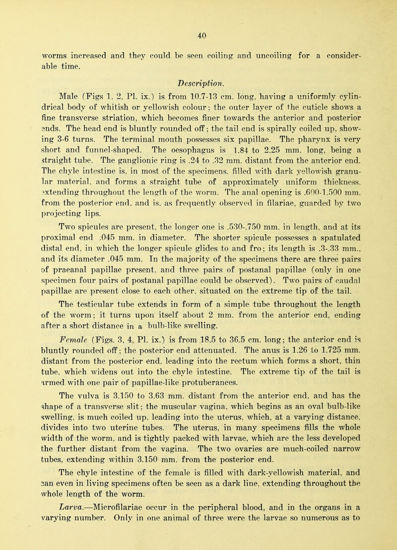 worms increased and they could be seen coiling and uncoiling for a consider- able time. Description. Male (Figs 1, 2, PI. ix.) is from 10.7-13 cm. long, having a uniformly cylin- drical body of whitish or yellowish colour; the outer layer of the cuticle shows a fine transverse striation, which becomes finer towards the anterior and posterior ends. The head end is bluntly rounded off; the tail end is spirally coiled up, show- ing 3-6 turns. The terminal mouth possesses six papillae. The pharynx is very short and funnel-shaped. The oesophagus is 1.84 to 2.25 mm. long, being a straight tube. The ganglionic ring is .24 to .32 mm. distant from the anterior end. The chyle intestine is, in most of the specimens, filled with dark yellowish granu- lar material, and forms a straight tube of approximately iiniform thickness, extending throughout the length of the worm. The anal opening is .600-1.500 mm. from the posterior end, and is, as frequently observed in filariae, guarded by two projecting lips. Two spicules are present, the longer one is .530-.750 mm. in length, and at its proximal end .045 mm. in diameter. The shorter spicule possesses a spatulated distal end, in which the longer spicule glides to and fro; its length is .3-.33 mm., and its diameter .045 mm. In the majority of the specimens there are three pairs of praeanal papillae present, and three pairs of postanal papillae (only in one specimen four pairs of postanal papillae could be observed). Two pairs of caudal papillae are present close to each other, situated on the extreme tip of the tail. The testicular tnhe extends in form of a simple tube throughout the length of the worm; it turns upon itself about 2 mm. from the anterior end, ending after a short distance in a bulb-like swelling. Female (Figs. 3, 4, PI. ix.) is from 18.5 to 36.5 cm. long; the anterior end is bluntly rounded off; the posterior end attenuated. The anus is 1.26 to 1.725 mm. distant from the posterior end, leading into the rectum which forms a short, thin tube, which widens out into the chyle intestine. The extrenie tip of the tail is armed with one pair of papillae-like protuberances. The vulva is 3.150 to 3.63 mm. distant from the anterior end, and has the shape of a transverse slit; the muscular vagina, which begins as an oval bulb-like swelling, is much coiled up, leading into the uterus, which, at a varying distance, divides into two uterine tubes. The uterus, in many specimens fills the whole width of the worm, and is tightly packed with larvae, which are the less developed the further distant from the vagina. The two ovaries are much-coiled narrow tubes, extending within 3.150 mm. from the posterior end. The chyle intestine of the female is filled with dark-yellowish material, and 3an even in living specimens often be seen as a dark line, extending throughout the whole length of the worm. Larva.—Microfilariae occur in the peripheral blood, and in the organs in a varying number. Only in one animal of three were the larvae so numerous as to