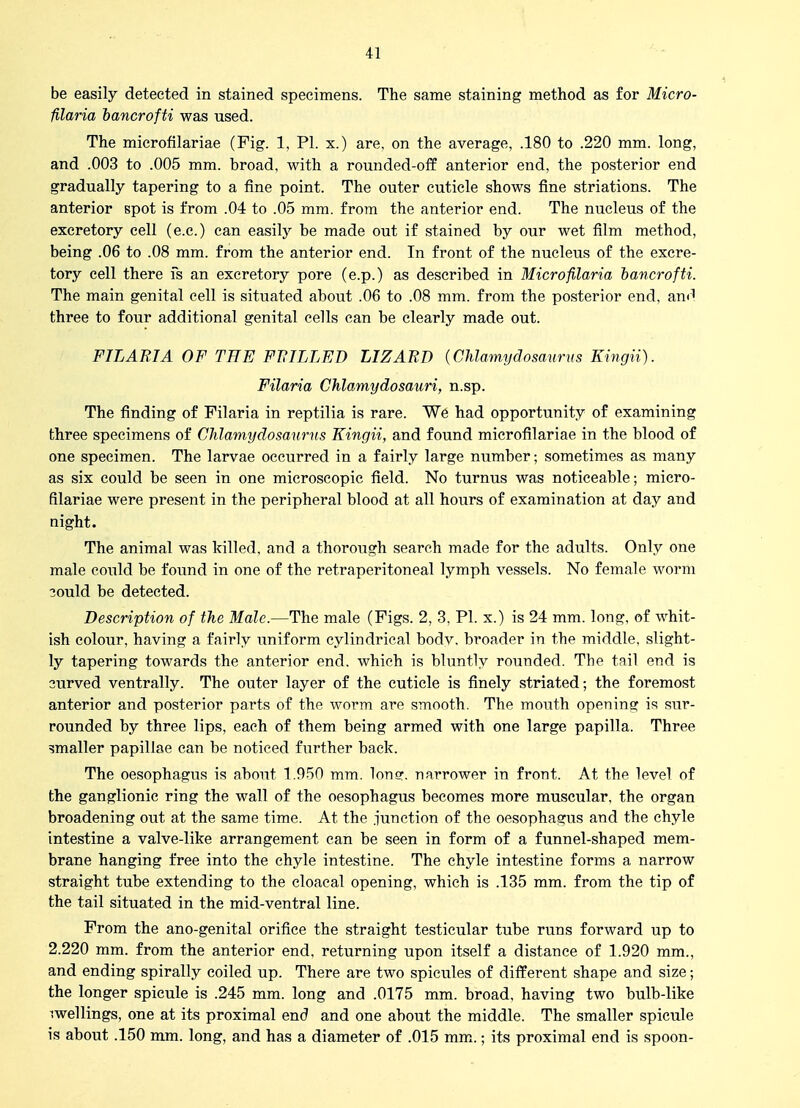 be easily detected in stained specimens. The same staining method as for Micro- filaria hancrofti was used. The microfilariae (Fig. 1, PI. x.) are, on the average, .180 to .220 mm. long, and .003 to .005 mm. broad, with a rounded-off anterior end, the posterior end gradually tapering to a fine point. The outer cuticle shows fine striations. The anterior spot is from .04 to .05 mm. from the anterior end. The nucleus of the excretory cell (e.c.) can easily be made out if stained by our wet film method, being .06 to .08 mm. from the anterior end. In front of the nucleus of the excre- tory cell there fs an excretory pore (e.p.) as described in Microflaria hancrofti. The main genital cell is situated about .06 to .08 mm. from the posterior end, ami three to four additional genital cells can be clearly made out. FILARIA OF THE FETLLED LIZARD {Chlamydosaurus Kingii). Filaria Chlamydosauri, n.sp. The finding of Filaria in reptilia is rare. We had opportunity of examining three specimens of Chlamydosaurns Kingii, and found microfilariae in the blood of one specimen. The larvae occurred in a fairly large number; sometimes as many as six could be seen in one microscopic field. No turnus was noticeable; micro- filariae were present in the peripheral blood at all hours of examination at day and night. The animal was killed, and a thorough search made for the adults. Only one male could be found in one of the retraperitoneal lymph vessels. No female worm 3ould be detected. Description of the Male.—The male (Figs. 2, 3, PI. x.) is 24 mm. long, of whit- ish colour, having a fairly uniform cylindrical bodv. broader in the middle, slight- ly tapering towards the anterior end. which is bluntly rounded. The tail end is 3urved ventrally. The outer layer of the cuticle is finely striated; the foremost anterior and posterior parts of the worm are smooth. The mouth opening is sur- rounded by three lips, each of them being armed with one large papilla. Three smaller papillae can be noticed further back. The oesophagus is about 1.950 mm. Ion?, narrower in front. At the level of the ganglionic ring the wall of the oesophagus becomes more muscular, the organ broadening out at the same time. At the junction of the oesophagus and the chyle intestine a valve-like arrangement can be seen in form of a funnel-shaped mem- brane hanging free into the chyle intestine. The chyle intestine forms a narrow straight tube extending to the cloaeal opening, which is .135 mm. from the tip of the tail situated in the mid-ventral line. From the ano-genital orifice the straight testicular tube runs forward up to 2.220 mm. from the anterior end, returning upon itself a distance of 1.920 mm., and ending spirally coiled up. There are two spicules of different shape and size; the longer spicule is .245 mm. long and .0175 mm. broad, having two bulb-like iwellings, one at its proximal end and one about the middle. The smaller spicule is about .150 mm. long, and has a diameter of .015 mm..; its proximal end is spoon-