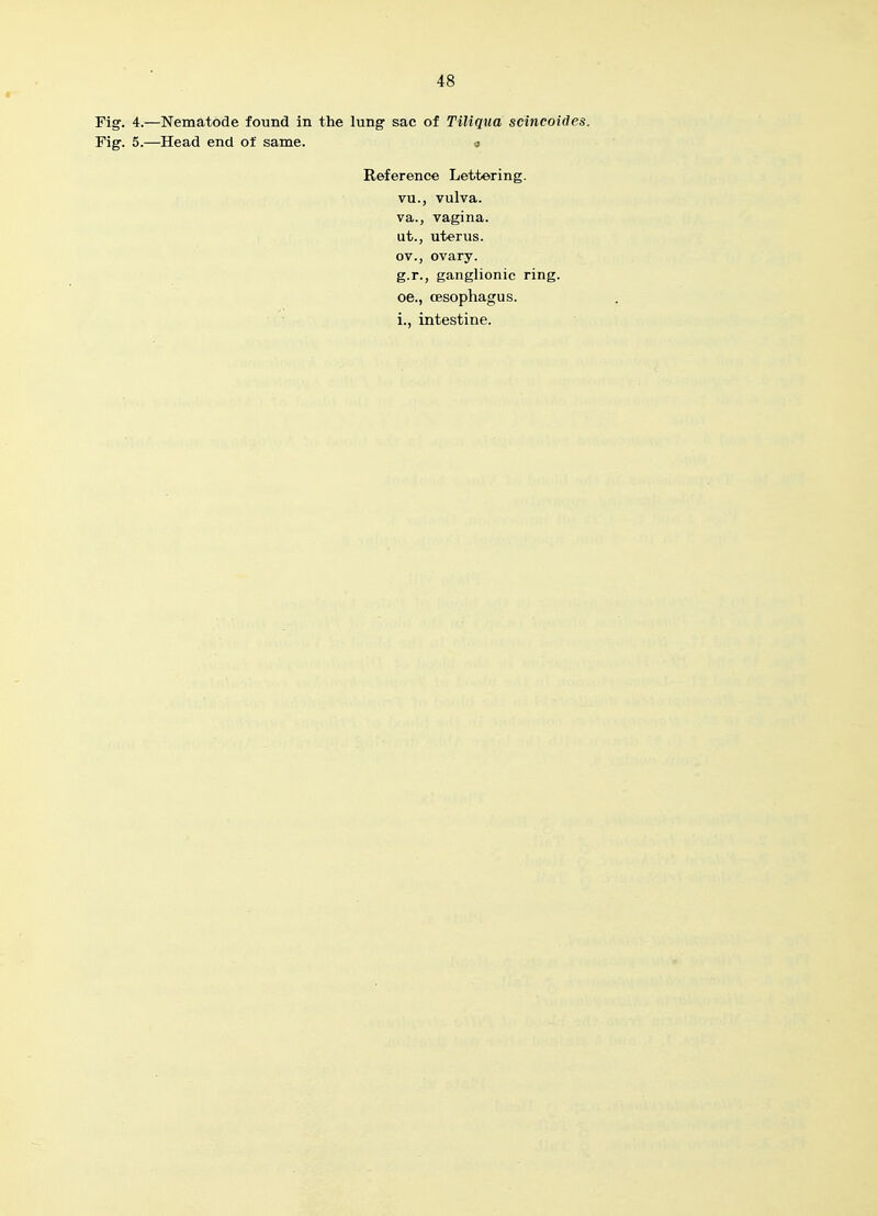 Fig. 4.—Nematode found in the lung sac of Tiliqna scineoides. Fig. 5.—Head end of same. j Reference Lettering, vu., vulva, va., vagina, ut., uterus, ov., ovary. g.r., ganglionic ring, oe., oesophagus, i., intestine.