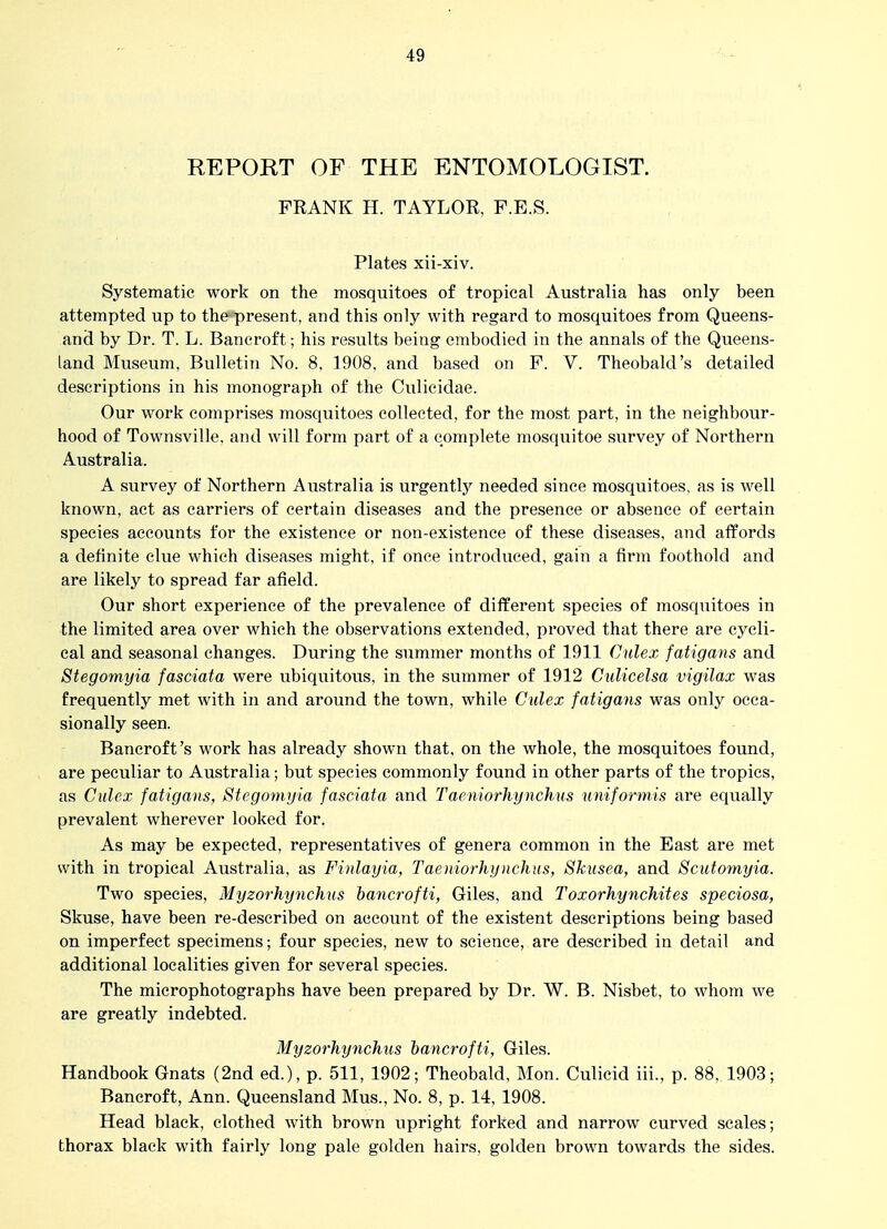 REPORT OF THE ENTOMOLOGIST. FRANK H. TAYLOR, P.E.S. Plates xii-xiv. Systematic work on the mosquitoes of tropical Australia has only been attempted up to the present, and this only with regard to mosquitoes from Queens- and by Dr. T. L. Bancroft; his results being embodied in the annals of the Queens- land Museum, Bulletin No. 8, 1908, and based on F. V. Theobald's detailed descriptions in his monograph of the Culicidae. Our work comprises mosquitoes collected, for the most part, in the neighbour- hood of Townsville. and will form part of a complete mosquitoe survey of Northern Australia. A survey of Northern Australia is urgently needed since mosquitoes, as is well known, act as carriers of certain diseases and the presence or absence of certain species accounts for the existence or non-existence of these diseases, and affords a definite clue which diseases might, if once introduced, gain a firm foothold and are likely to spread far afield. Our short experience of the prevalence of different species of mosquitoes in the limited area over which the observations extended, proved that there are cycli- cal and seasonal changes. During the summer months of 1911 Culex fatigans and Stegomyia fasciata were ubiquitous, in the summer of 1912 CuUcelsa vigilax was frequently met with in and around the town, while Culex fatigans was only occa- sionally seen. Bancroft's work has already shown that, on the whole, the mosquitoes found, are peculiar to Australia; but species commonly found in other parts of the tropics, as Culex fatigans, Btegomyia fasciata and Taeniorhynchus uniformis are equally prevalent wherever looked for. As may be expected, representatives of genera common in the East are met with in tropical Australia, as Finlayia, Taeniorhynchus, Skusea, and Scutomyia. Two species, Myzorhynchus bancrofti, Giles, and Toxorhynchites speciosa, Skuse, have been re-described on account of the existent descriptions being based on imperfect specimens; four species, new to science, are described in detail and additional localities given for several species. The microphotographs have been prepared by Dr. W. B. Nisbet, to whom we are greatly indebted. Myzorhynchus bancrofti, Giles. Handbook Gnats (2nd ed.), p. 511, 1902; Theobald, Mon. Culicid iii., p. 88, 1903; Bancroft, Ann. Queensland Mus., No. 8, p. 14, 1908. Head black, clothed with brown upright forked and narrow curved scales; thorax black with fairly long pale golden hairs, golden brown towards the sides.