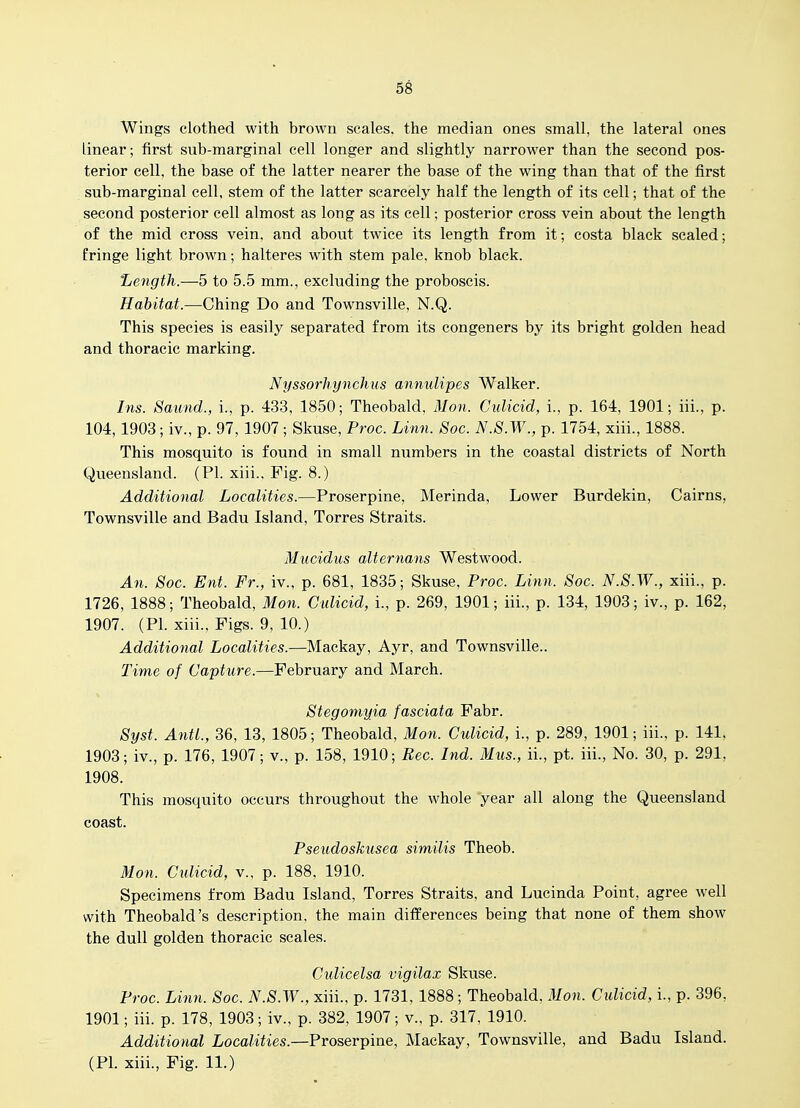 68 Wings clothed with brown scales, the median ones small, the lateral ones linear; first sub-marginal cell longer and slightly narrower than the second pos- terior cell, the base of the latter nearer the base of the wing than that of the first sub-marginal cell, stem of the latter scarcely half the length of its cell; that of the second posterior cell almost as long as its cell; posterior cross vein about the length of the mid cross vein, and about twice its length from it; costa black scaled; fringe light brown; halteres with stem pale, knob black. 'Length.—5 to 5.5 mm., excluding the proboscis. Habitat.—Ching Do and Townsville, N.Q. This species is easily separated from its congeners by its bright golden head and thoracic marking. Nyssorhynchus annulipes Walker. Ins. Saund., i., p. 433, 1850; Theobald, Man. Cidicid, i., p. 164, 1901; iii., p. 104,1903 ; iv., p. 97, 1907 ; Skuse, Proc. Linn. Soc. N.8.W., p. 1754, xiii., 1888. This mosquito is found in small numbers in the coastal districts of North Queensland. (PI. xiii.. Fig. 8.) Additional Localities.—Proserpine, Merinda, Lower Burdekin, Cairns, Townsville and Badu Island, Torres Straits. Mucidus alternans Westwood. An. Soc. Ent. Fr., iv., p. 681, 1835; Skuse, Proc. Linn. Soc. N.S.W., xiii., p. 1726, 1888; Theobald, Mon. Cidicid, i., p. 269, 1901; iii., p. 134, 1903; iv., p. 162, 1907. (PL xiii.. Figs. 9, 10.) Additional Localities.—Mackay, Ayr, and Townsville.. Time of Capture.—February and March. Stegomyia fasciata Fabr. Syst. AntL, 36, 13, 1805; Theobald, Mon. Culicid, i., p. 289, 1901; iii., p. 141. 1903; iv., p. 176, 1907; v., p. 158, 1910; Rec. Ind. Mus., ii., pt. iii., No. 30, p. 291. 1908. This mosquito occurs throughout the whole year all along the Queensland coast. Pseudoskusea similis Theob. Mon. Culicid, v.. p. 188. 1910. Specimens from Badu Island, Torres Straits, and Lucinda Point, agree well with Theobald's description, the main differences being that none of them show the dull golden thoracic scales. Cidicelsa vigilax Skuse. Proc. Linn. Soc. N.S.W., xiii., p. 1731, 1888; Theobald. Mon. Culicid, i., p. 396, 1901; iii. p. 178, 1903; iv., p. 382, 1907; v., p. 317, 1910. Additional Localities.—Proserpine, Mackay, Townsville, and Badu Island. (PI. xiii., Fig. 11.)