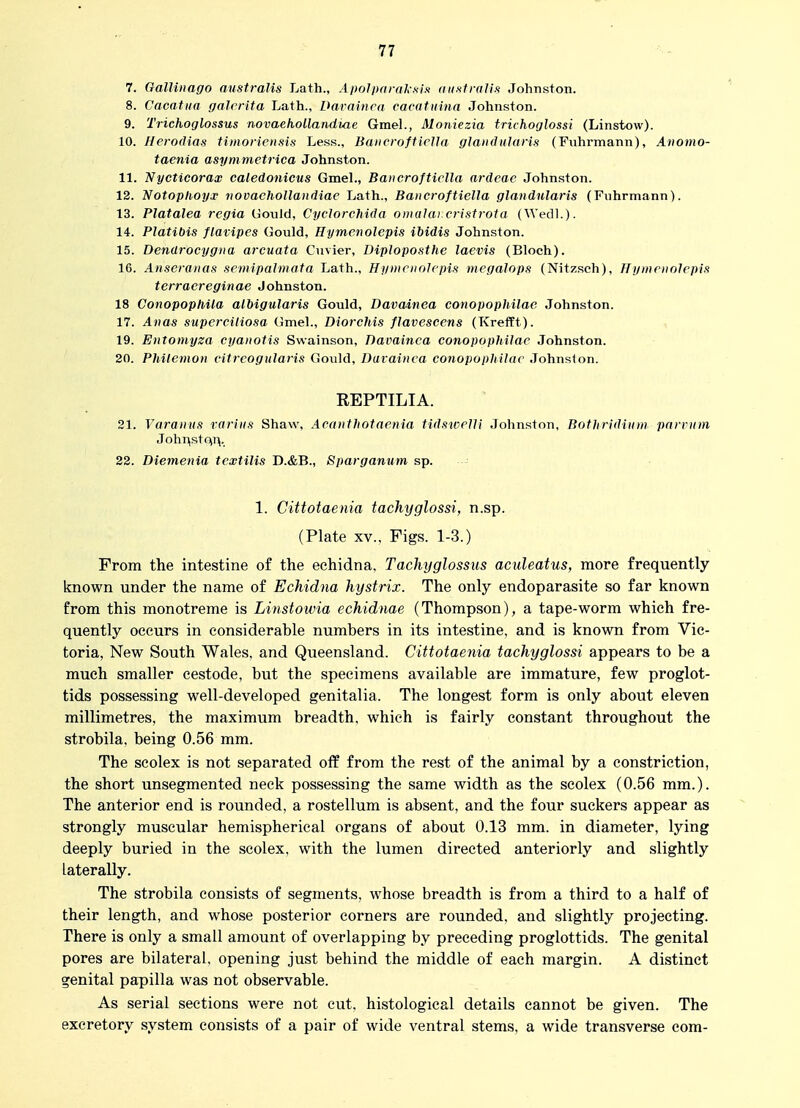 7. GalUnago australis Lath., Apoliuirnlxis! (iKsfralif; Johnston. 8. Cacatiia galcrita Lath., Darnhicd cacatiiinn Johnston. 9. Trichoglossus novaehoUandme GmeL, Moniezia trichoglossi (Linstow). 10. Herodias timoriensis Less., Bancrofticlla glandii]arift (Fuhrmann), Anomo- taenia asymmetrica Johnston. 11. Nycticorax caledonicus Gmel., Baiicrofticlla ardeae Johnston. 12. Notophoyr riovachollaiidiae Lath., Bancroftiella glandularis {Fuhrmann). 13. Platalea regia Uould, Cyclorchida onialai.cristj-ola (Wedl.). 14. Platibis flavipes (lould, Hymcnolepis ibidis Johnston. 15. Dendrocygiia arcuata Cuvier, Diploposthe laevis (Bloch). 16. Anscranas scmipalniata Lath., Hynicnolrpin megalopa (Nitzsch), TIymrnolepis terraereginae Johnston. 18 GonopophUa alMgularis Gould, Davainea conopophilae Johnston. 17. Anas superciliosa (Jmel., Diorchis flavescens (KrefTt). 19. Entomyza cyanotis Swainson, Davainea conopophilae Johnston. 20. Philemon citrcogularis Gould, Davainea conopophilae Johnslon. REPTILIA. 21. Varanus rariiis Shaw, Acanthotaenia iidswelli Johnston, Pothridium parrnm Johr^stqj^. 22. Diemenia textilis D.&B., Sparganum sp. - 1. Cittotaenia tachyglossi, n.sp. (Plate XV., Figs. 1-3.) From the intestine of the echidna, Tachyglossus aculeatus, more frequently known under the name of Echidna hystrix. The only endoparasite so far known from this monotreme is Linstowia echidnas (Thompson), a tape-worm which fre- quently occurs in considerable numbers in its intestine, and is known from Vic- toria, New South Wales, and Queensland. Cittotaenia tachyglossi appears to be a much smaller cestode, but the specimens available are immature, few proglot- tids possessing well-developed genitalia. The longest form is only about eleven millimetres, the maximum breadth, which is fairly constant throughout the strobila, being 0.56 mm. The scolex is not separated off from the rest of the animal by a constriction, the short unsegmented neck possessing the same width as the scolex (0.56 mm.). The anterior end is rounded, a rostellum is absent, and the four suckers appear as strongly muscular hemispherical organs of about 0.13 mm. in diameter, lying deeply buried in the scolex, with the lumen directed anteriorly and slightly laterally. The strobila consists of segments, whose breadth is from a third to a half of their length, and whose posterior corners are rounded, and slightly projecting. There is only a small amount of overlapping by preceding proglottids. The genital pores are bilateral, opening just behind the middle of each margin. A distinct genital papilla was not observable. As serial sections were not cut. histological details cannot be given. The excretory system consists of a pair of wide ventral stems, a wide transverse com-