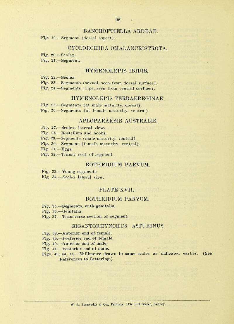 BANCROFTIELLA ARDEAE. Fig. 19.—Segment (doi-sal aspect). CYCLORCHIDA OMALANCRISTROTA. Fig. 20.—Scolex. Fig. 21.—Segment. HTMENOLEPIS IBIDIS. Fig. 22.—Scolex. Fig. 23.—Segments (sexual, seen from dorsal surface). Fig. 24.—Segments (ripe, seen from ventral surface). IIYMENOLEPIS TERRAEREGINAE. Fig. 25.—Segments (at male maturity, dorsal). Fig. 26.—Segments (at female maturity, ventral). APLOPARAKSIS AUSTRALIS. Fig. 27.—Scolex, lateral view. Fig. 28.—Kostellum and hooks. Fig. 29.—Segments (male maturity, ventral) Fig. 30.—Segment (female maturity, ventral). Fig. 31.—Eggs. Fig. 32.—Transv. sect, of segment. BOTHRIDIUM PARVUM. Fig. 33.— Yoimg segments. Fig. 34.—Scolex lateral view. PLATE XVII. BOTHRIDIUM PARVUM. Fig. 35.—Segments, with genitalia. Fig. 36.—Genitalia. Fig. 37.—Transverse section of segment. GIGANTORHYNCHUS ASTURINUS. Fig. 38.—Anterior end of female. Fig. 39.—Posterior end of female. Fig. 40.—Anterior end of male. Fig. 41.—Posterior end of male. Figs. 42, 43, 44.—Millimetre drawn to same scales as indicated earlier. (See Keferences to Lettering.) W. A. Pepperday & Co., Printers, 119a Pitt Street, Sydney.