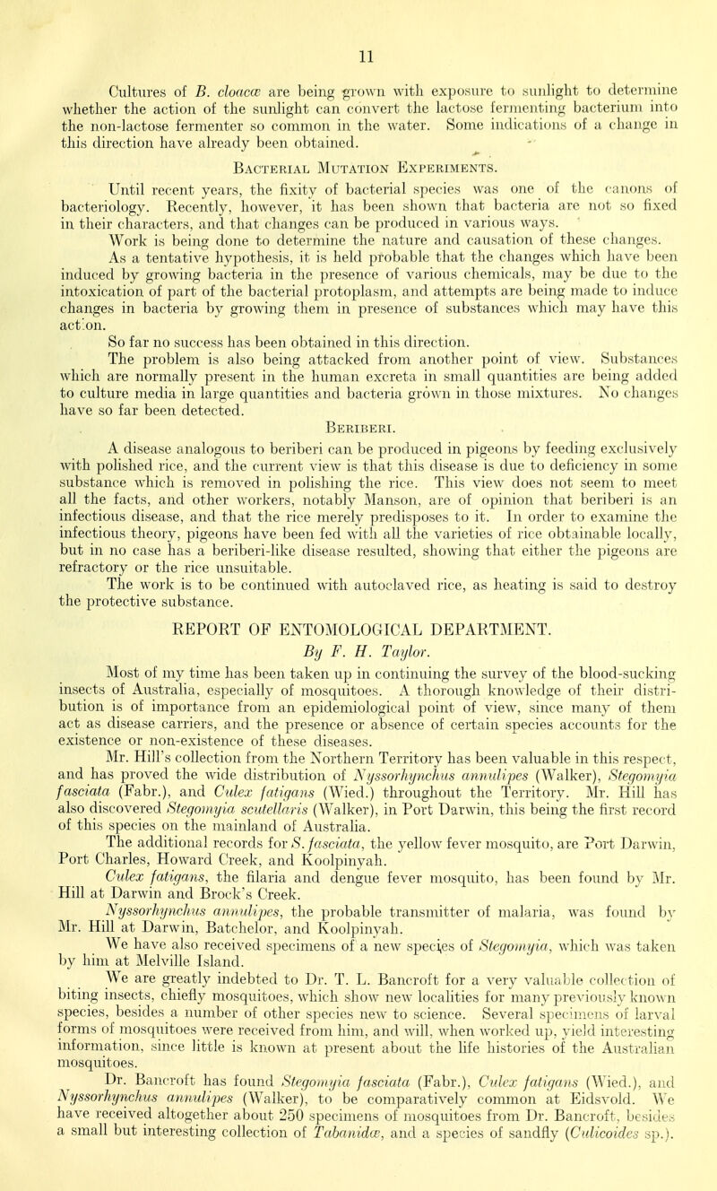 Cultures of B. cloacm are being grown with exposui-c to sunlight to determine whether the action of the sunlight can convert the lactose ferjuenting bacterium into the non-lactose fermenter so common in the water. Some indications of a change in this direction have already been obtained. Bacterial Mutation Experiments. Until recent years, the fixity of bacterial species was one of the canons of bacteriology. Recently, however, it has been shown that bacteria are not so fixed in their characters, and that changes can be produced in various ways. Work is being done to determine the nature and causation of these changes. As a tentative hypothesis, it is held probable that the changes which have been induced by growing bacteria in the presence of various chemicals, may be due to the intoxication of part of the bacterial protoplasm, and attempts are being made to induce changes in bacteria by growing them in presence of substances which may have this action. So far no success has been obtained in this direction. The problem is also being attacked from another point of view. Substances which are normally present in the human excreta in small quantities are being added to culture media in large quantities and bacteria grown in those mixtures. No changes have so far been detected. Beriberi. A disease analogous to beriberi can be produced in pigeons by feeding exclusively with polished rice, and the current vicAv is that this disease is due to deficiency in some substance which is removed in polishing the rice. This view does not seem to meet all the facts, and other workers, notably Manson, are of opinion that beriberi is an infectious disease, and that the rice merely predisposes to it. In order to examine the infectious theory, pigeons have been fed with all the varieties of rice obtainable locally, but in no case has a beriberi-like disease resulted, showing that either the pigeons are refractory or the rice unsuitable. The work is to be continued with autoclaved rice, as heating is said to destroy the protective substance. REPORT OF ENTOMOLOGICAL DEPARTMENT. By F. H. Taylor. Most of my time has been taken up in continuing the survey of the blood-sucking insects of Australia, especially of mosquitoes. A thorough knowledge of their distri- bution is of importance from an epidemiological point of view, since many of them act as disease carriers, and the presence or absence of certain species accounts for the existence or non-existence of these diseases. Mr. Hill's collection from the Northern Territory has been valuable in this respect, and has proved the wide distribution of Nyssorhynchus annulipes (Walker), Stegomyia fasciata (Fabr.), and Cidex fatigans (Wied.) throughout the Territory. Mr. Hill has also discovered Stegomyia scutellaris (Walker), in Port Darwin, this being the first record of this species on the mainland of Austraha. The additional records for S. fasciata, the yellow fever mosquito, are Port Darwin, Port Charles, Howard Creek, and Koolpinyah. Culex fatigans, the filaria and dengue fever mosquito, has been found by 'Mv. Hill at Darwin and Brock's Creek. Nyssorhynchus annulipes, the probable transmitter of malaria, was found by Mr. Hill at Darwin, Batchelor, and Koolpinyah. We have also received specimens of a new speci,es of Stegomyia, which was taken by him at Melville Island. We are greatly indebted to Dr. T. L. Bancroft for a very valuable collection of biting insects, chiefly mosquitoes, which show new localities for many previously known species, besides a number of other species new to science. Several specimens of larval forms of mosquitoes were received from him, and will when worked up, yield interesting information, since little is known at present about the Hfe histories of the Australian mosquitoes. Dr. Bancroft has found Stegomyia fasciata (Fabr.), Culex fatigans (Wied.), and Nyssorhynchus annulipes (Walker), to be comparatively common at Eidsvold. We have received altogether about 250 specimens of jnosquitoes from Dr. Bancroft, besides a small but interesting collection of TabanidcB, and a species of sandfly [Culicoides sp.).