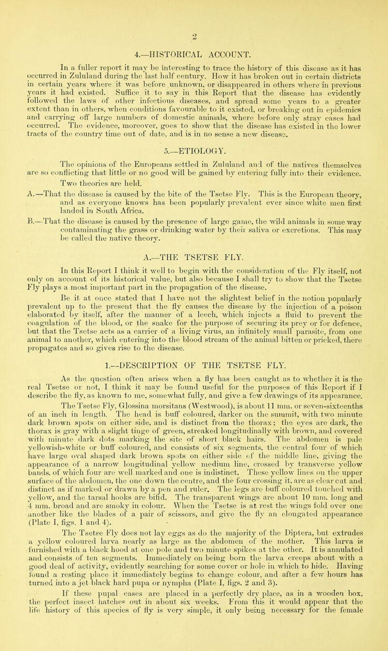 2 4.—HISTORICAL ACCOUNT. In a fuller report it may be interesting to trace the history of this disease as it has occurred in Zululand during the last half century. How it has broken out in certain districts in certain years where it was before unknown, or disappeared in others where'in previous years it had existed. Suffice it to say in this Report that the disease has evidently followed the laws of other infectious diseases, and spread some years to a greater extent than in others, when conditions favourable to it existed, or breaking out in epidemics and carrying; off large numbers of domestic animals, where before 011I3- stray cases had occurred. The evidence, moreover, goes to show that the disease has existed in the lower tracts of the country time out of date, and is in no sense a new disease. 5.—ETIOLOGY. The opinions of the Europeans settled in Zululand and of the natives themselves are so conflicting that little or no good will be gained by entering fully into their evidence. Two theories are held. A. —That the disease is caused by the bite of the Tsetse Fly. This is the European theory, and as everyone knows has been popularly prevalent ever since white men first landed in South Africa. B. —That the disease is caused by the presence of large game, the wild animals in some way contaminating the grass or drinking water by their saliva or excretions. This may be called the native theory. A.—THE TSETSE FLY. In this Report I think it well to begin with the consideration of the Fly itself, not only on account of its historical value, but also because I shall try to show that the Tsetse Fly plays a most important part in the propagation of the disease. Be it at once stated that I have not the slightest belief in the notion popularly prevalent up to the present that the fly causes the disease by the injection of a poison elaborated by itself, after the manner of a leech, which injects a fluid to prevent the coagulation of the blood, or the snake for the purpose of securing its prey or for defence, but that the Tsetse acts as a carrier of a living virus, an infinitely small parasite, from one animal to another, which entering into the blood stream of the animal bitten or pricked, there propagates and so gives rise to the disease. 1.—DESCRIPTION OF THE TSETSE FLY. As the question often arises when a fly has been caught as to whether it is the real Tsetse or not, I think it may be found useful for the purposes of this Report if I describe the fly, as known to me, somewhat fully, and give a few drawings of its appearance. The Tsetse Fly. Glossina morsitans (Westwood), is about 11 mm. or seven-sixteenths of an inch in length. The head is buff coloured, darker on the summit, Avith two minute dark brown spots on either side, and is distinct from the thorax; the eyes are dark, the thorax is gray with a slight tinge of green, streaked longitudinally with brown, and covered with minute dark dots marking the site of short black hairs. The abdomen is pale yellowish-white or buff coloured, and consists of six segments, the central four of which have large oval shaped dark brown spots on either side of the middle line, giving the appearance of a narrow longitudinal yellow medium line, crossed by transverse yellow bands, of which four are well marked and one is indistinct. These yellow lines on the upper surface of the abdomen, the one down the centre, and the four crossing it, are as clear cut and distinct as if marked or drawn by a pen and ruler. The legs are buff coloured touched with yellow, and the tarsal hooks are bifid. The transparent wings are about 10 mm. long and 4 mm. broad and are smoky in colour. When the Tsetse is at rest the wings fold over one another like the blades of a pair of scissors, and give the fly an elongated appearance (Plate I, figs. 1 and 4). The Tsetse Fly does not lay eggs as do the majority of the Diptera, but extrudes a yellow coloured larva nearly as large as the abdomen of the mother. This larva is furnished with a black hood at one pole and two minute spikes at the other. It is annulated and consists of ten segments. Immediately on being born the larva creeps about with a good deal of activity, evidently searching for some cover or hole in which to hide. Having found a resting place it immediately begins to change colour, and after a few hours has turned into a jet black hard pupa or nympha (Plate I, figs. 2 and 3). If these pupal cases are placed in a perfectly dry place, as in a wooden box, the perfect insect hatches out in about six weeks. From this it would appear that the life history of this species of fly is very simple, it only being necessary for the female