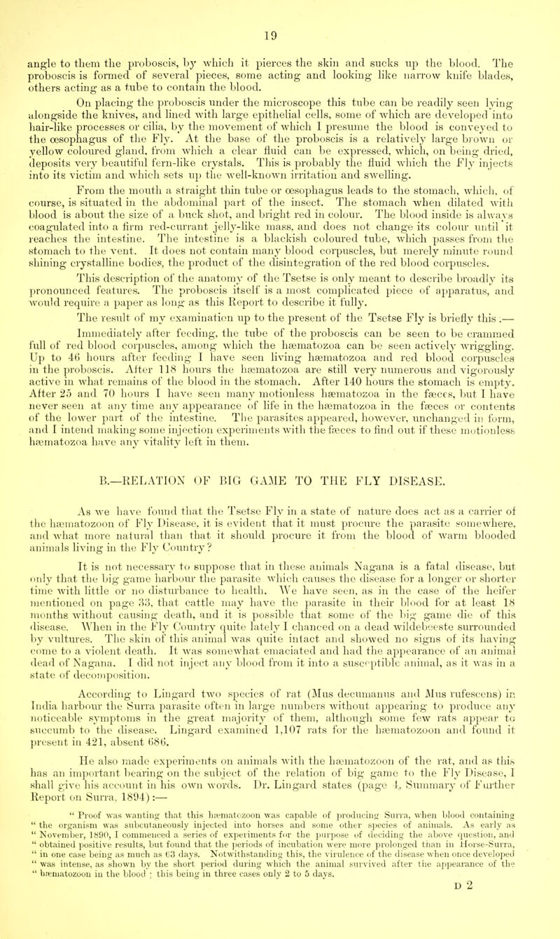 angle to them the proboscis, by which it pierces the skin and sucks up the blood. The proboscis is formed of several pieces, some acting and looking like narrow knife blades, others acting as a tube to contain the blood. On placing the proboscis under the microscope this tube can be readily seen lying alongside the knives, and lined with large epithelial cells, some of which are developed into hair-like processes or cilia, by the movement of which I presume the blood is conveyed to the oesophagus of the Fly. At the base of the proboscis is a relatively large brown or yellow coloured gland, from which a clear fluid can be expressed, which, on being dried, deposits very beautiful fern-like crystals. This is probably the fluid which the Fly injects into its victim and which sets up the well-known irritation and swelling. From the mouth a straight thin tube or oesophagus leads to the stomach, which, of course, is situated in the abdominal part of the insect. The stomach when dilated with blood is about the size of a buck shot, and bright red in colour. The blood inside is always coagulated into a firm red-currant jelly-like mass, and does not change its colour until it reaches the intestine. The intestine is a blackish coloured tube, which passes from the stomach to the vent. It does not contain many blood corpuscles, but merely minute round shining crystalline bodies, the product of the disintegration of the red blood corpuscles. This description of the anatomy of the Tsetse is only meant to describe broadly its pronounced features. The proboscis itself is a most complicated piece of apparatus, and would require a paper as long as this Report to describe it fully. The result of my examination up to the present of the Tsetse Fly is briefly this .— Immediately after feeding, the tube of the proboscis can be seen to be crammed lull of red blood corpuscles, among which the lmematozoa can be seen actively wriggling. Up to 46 hours after feeding I have seen living heematozoa and red blood corpuscles in the proboscis. After 118 hours the hasmatozoa are still very numerous and vigorously active in what remains of the blood in the stomach. After 140 hours the stomach is empty. After 25 and 70 hours I have seen many motionless hsematozoa in the faeces, but I have never seen at any time any appearance of life in the hamiatozoa in the fasces or contents of the lower part of the intestine. The parasites appeared, however, unchanged in form, and I intend making some injection experiments with the fa?ces to find out if these motionless hajmatozoa have any vitality left in them. B.—RELATION OF BIG GAME TO THE FLY DISEASE. As we have found that the Tsetse Fly in a state of nature does act as a carrier of (lie haunatozoon of Fly Disease, it is evident that it must procure the parasite somewhere, and what more natural than that it should procure it from the blood of warm blooded animals living in the Fly Country ? It is not necessary to suppose that in these animals Nagana is a fatal disease, but only that the big game harbour the parasite which causes the disease for a longer or shorter time with little or no disturbance to health. We have seen, as in the case of the heifer mentioned on page 33, that cattle may have the parasite in their blood for at least 18 months without causing death, and it is possible that some of the big game die of this disease. When in the Fly Country quite lately I chanced on a dead wildebeeste surrounded by vultures. The skin of this animal was quite intact and showed no signs of its having come to a violent death. It was somewhat emaciated and had the appearance of an animal dead of Nagana. I did not inject any blood from it into a susceptible animal, as it was in a state of decomposition. According to Lingard two species of rat (Mus decumanus and Mus rufescens) in India harbour the Surra parasite often in large numbers without appearing to produce any noticeable symptoms in the great majority of them, although some few rats appear to succumb to the disease. Lingard examined 1,107 rats for the hamiatozoon and found it present in 421, absent (58(5. He also made experiments on animals with the hasmatozoon of the rat, and as this has an important bearing on the subject of the relation of big game to the Fly Disease, I shall give his account in his own words. Dr. Lingard states (page 4. Summary of Further Report on Surra. 1894) :—  Proof was wanting that this ha?matozoon was capable of producing Surra, when blood containing  the organism was subcutaneously injected into horses and some other species of animals. As early as  November, ] 890, I commenced a series of experiments for the purpose of deciding the above question, and  obtained positive results, but found that the periods of incubation were more prolonged than in Horse-Surra,  in one case being as much as t>3 days. Notwithstanding this, the virulence of the disease when once developed  was intense, as shown by the short period during which the animal survived after tiie appearance of the  hneniatozoon in the blood : this being in three cases only 2 to 5 days. D 2