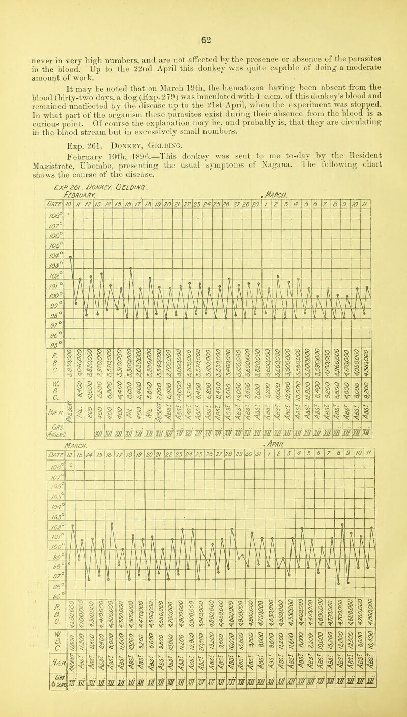 never in very high numbers, and are not affected by the presence or absence of the parasites in the blood. Up to the 22nd April this donkey was quite capable of doing a moderate amount of work. It may be noted that on March 19th, the haematozoa having been absent from the blood thirty-two days, a dog (Exp. 279) was inoculated with 1 can. of this donkey's blood and remained unaffected by the disease up to the 21st April, when the experiment was stopped. In what part of the organism these parasites exist during their absence from the blood is a curious point. Of course the explanation may be, and probably is, that they are circulating in the blood stream but in excessively small numbers. Exp. 2G1. Donkey, Gelding. February 10th, 1896.—This donkey was sent to me to-day by the Resident Magistrate, L'bombo, presenting the usual symptoms of Nagana. Ihe following chart shows the course of the disease* lxp.261. Don hey. Gelding. February. . March. March. . April 14 !5\/6 17 18 19 20 21 22 25 £4 £6 26 £7 28 29 30 51 I 2 5 \ 4 5 6 7 8 \ 9 10 If
