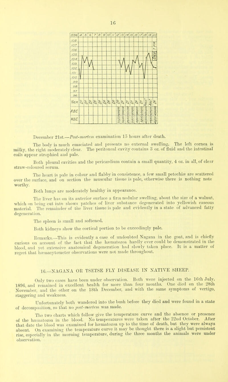 1G 1896 a 5 6 7 a 9 // 12 13 17 It 2C toe 107 'OS rs /OS A I04 \ A A A 103 \n 4 \a \ I02 \ V L IOI /OO - 99 98 97 96 H/EJ4. Q as *J i% R.B.C 1 1 s 1 $ W.B.C. *1 *o I §- 5 % December 21st.—Post-mortem examination 15 hours after death. The body is much emaciated and presents no external swelling. The left cornea is milky, the right moderately clear. The peritoneal cavity contains 3 oz. of fluid and the intestinal coils appear atrophied and pale. Both pleural cavities and the pericardium contain a small quantity, 4 oz. in all, of clear straw-coloured serum. The heart is pale in colour and flabby in consistence, a few small petechiae are scattered over the surface, and on section the muscular tissue is pale, otherwise there is nothing note worthy. Both lungs are moderately healthy in appearance. The liver has on its anterior surface a firm nodular swelling, about the size of a walnut, which on being cut into shows patches of liver substance degenerated into yellowish caseous material. The'remainder of the liver tissue is pale and evidently in a state of advanced fatty degeneration. The spleen is small and softened. Both kidneys show the cortical portion to be exceedingly pale. Kemarks. This is evidently a case of undoubted Nagana in the goat, and is chiefly curious on account of the fact that the hsematozoa hardly ever could be demonstrated in the blood, and yet extensive anatomical degeneration had slowly taken place. It is a matter of regret that hemacytometer observations were not made throughout. 16.—-NAG AN A OR TSETSE FLY DISEASE IN NATIVE SHEEP. Only two cases have been under observation. Both were injected on the 16th July, 1896, and remained in excellent health for more than four months. One died on the 28th November, and the other on the 18th December, and with the same symptoms of vertigo, staggering and weakness. Unfortunately both wandered into the bush before they died and were found in a state of decomposition, so that no iiost-mortem was made. The two charts which follow give the temperature curve and the absence or presence of the hamiatozoa in the blood. No temperatures were taken after the 22nd October. After that date the blood was examined for hcematozoa up to the time of death, but they were always absent. On examining the temperature curve it may be thought there is a slight but persistent rise, especially in the niorning temperature, during the three months the animals were under observation.