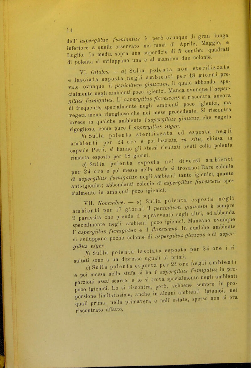 inferiore a quello osservato ..e, raes, d j^P;''^' f^^^'^^tj Luglio. In media sopra una superflce d, 5/^ ' °'nìe di polenta si sviluppano una e al massimo due oolome. VI. 0«.6r. - a) Sulla polenta e lasciata esposta.negli ^'>''='' da soe- vale ovunque il penicMum glaucum. >1 quale abbonda sp cialmente ,!egli ambienti poco igienici. Manca ovunqu 1 a.pe gMus fumigatus. V aspergillus fia^ncen, s, '^''J-J^'''^ di frequente, specialmente negli ambient, poco « ■ »; vegeta meno rigoglioso che nel mese precedente S' ^ invece in qualche ambiente X-aspergillm glaucns, che vegeta rigoglioso, come pure r asperj,(it.s «ipe--. W Sulla polenta sterilìz.ata ed esposta neg . i.H r,er 4 ore e poi lasciata in sHu, chmsa in ambienti per -4 e e capsule Petri, si hanno gli stesbi risultati avui i- rimasta esposta per 18.giorni. ,chianti ci Sulla polenta esposta ne. diversi ambienti per 24 ore e poi messa nella stufa si trovano: Rare colonie i\ aspergillus fumigalus negli ambienti tanto igienici, quanto anWgLici; abbondanti colonie X. aspergmus liavcsoens spe- cialmente in ambienti poco igienici. VII. Nooemire. - a) Sulla polenta esposta negli iiraLsi ;:er irUra-::rugra;re:aiZd: :'pe=nte negali -f^Z.:^^^:;^ lits»: ^rhftinV'diC::;:--;. e di .... '%7nTia polenta lasciata esposta per 24 ore i ri- sultati sono a un dipresso uguali ai primi. u!^„tl c Sulla polenta esposta per 24 ore negli ambienti e no messa nella stufa si ha 1' aspergillus fmmgalus in pio. 0 ìon s aiscarse, e lo si trova specialmente neg . ambient ooco igienici. Lo si riscontra, però, sebbene sempre in pio Ter ion imìtatissima, anche in alcuni ambienti igienici e quali prima, nella primavera e nell' estate, spesso non si era riscontrato affatto,