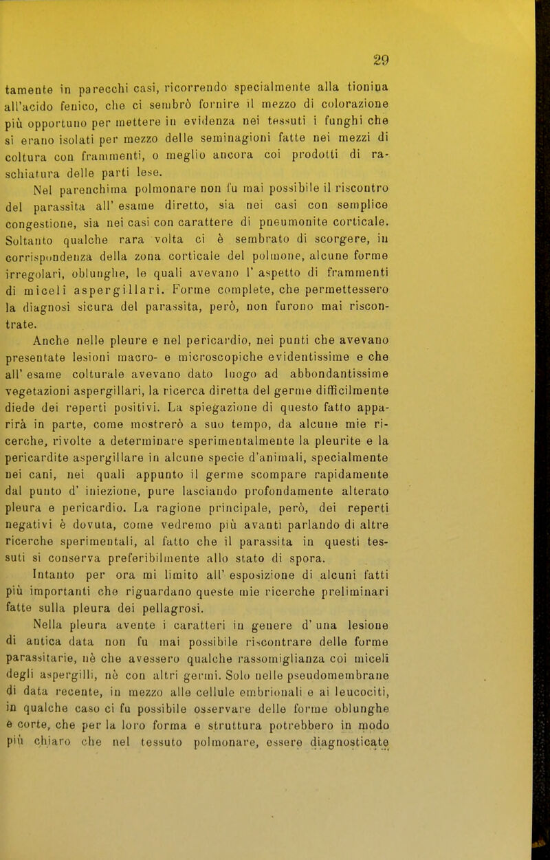 tamente in parecchi casi, ricorrendo specialmente alla tionioa all'acido fenico, che ci sembrò fornire il mezzo di colorazione pili opportuno per mettere in evidenza nei tessuti i funghi che si erano isolati per mezzo delle seminagioni fatte nei mezzi di coltura con frammenti, o meglio ancora coi prodotti di ra- schiatura delle parti lese. Nel parenchima polmonare non Cu mai possibile il riscontro del parassita all' esame diretto, sia nei casi con semplice congestione, sia nei casi con carattere di pneumonite corticale. Soltanto qualche rara volta ci è sembrato di scorgere, in corrispondenza della zona corticale del polmone, alcune forme irregolari, oblunghe, le quali avevano 1' aspetto di frammenti di miceli aspergillari. Forme complete, che permettessero la diagnosi sicura del parassita, però, non furono mai riscon- trate. Anche nelle pleure e nel pericai'dio, nei punti che avevano presentate lesioni macro- e microscopiche evidentissime e che all' esame colturale avevano dato luogo ad abbondantissime vegetazioni aspergillari, la ricerca diretta del germe difficilmente diede dei reperti positivi. La spiegazione di questo fatto appa- rirà in parte, come mostrerò a suo tempo, da alcune mie ri- cerche, rivolte a determinare sperimentalmente la pleurite e la pericardite aspergillare in alcune specie d'animali, specialmente nei cani, nei quali appunto il germe scompare rapidamente dal punto d' iniezione, pure lasciando profondamente alterato pleura e pericardio. La ragione principale, però, dei reperti negativi è dovuta, come vedremo più avanti parlando di altre ricerche sperimentali, al fatto che il parassita in questi tes- suti si conserva preferibilmente allo stato di spora. Intanto per ora mi limito all' esposizione di alcuni fatti più importanti che riguardano queste mie ricerche preliminari fatte sulla pleura dei pellagrosi. Nella pleura avente i caratteri in genere d' una lesione di antica data non fu mai possibile riscontrare delle forme parassitarie, nè che avessero qualche rassomiglianza coi miceli degli aspergini, nè con altri germi. Solo nelle pseudomembrane di data recente, in mezzo alle cellule embrionali e ai leucociti, m qualche caso ci fu possibile osservare delle forme oblunghe 6 corte, che per la loro forma e struttura potrebbero in modo più chiaro che nel tessuto polmonare, essere diagnosticate