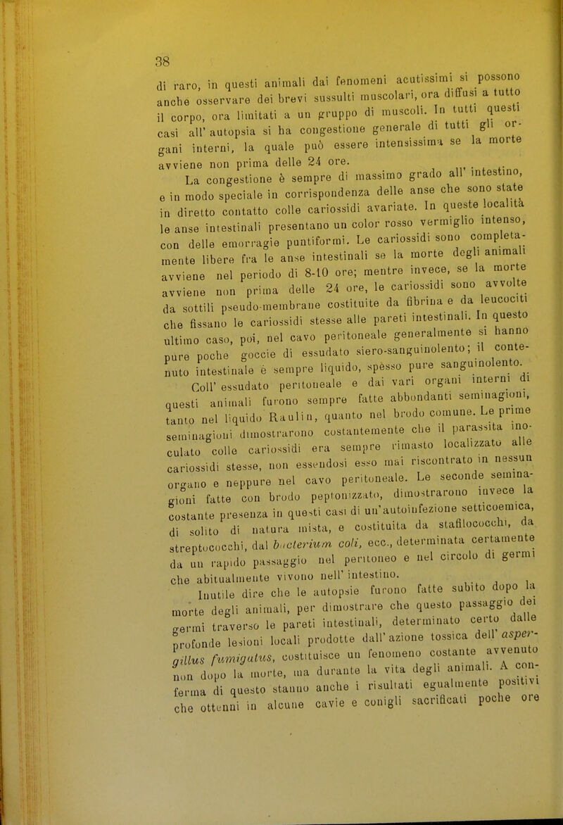 di raro, in questi animali dai fenomeni acutissimi si possono anche osservare dei brevi sussulti muscolari, ora d.ffus, a tutto il corpo, ora limitati a un gruppo di muscoli. In tutti questi casi all'autopsia si ha congestione generale di tutti gli or- gani interni, la quale può essere intensissima se la morte avviene non prima delle 24 ore. La congestione è sempre di massimo grado ali intestino, e in modo speciale in corrispondenza delle anse che sono state in diretto contatto colle cariossidi avariate. In queste località le anse intestinali presentano un color rosso vermiglio intenso, con delle emorragie puntiformi. Le cariossidi sono completa- mente libere fra le anse intestinali se la morte dogli animali avviene nel periodo di 8-10 ore; mentre invece, se la morte avviene non prima delle 24 ore, le cariossidi sono avvolte da sottili pseudo membrane costituite da fibrina e da leucociti che fissano le cariossidi stesse alle pareti intestinali. In questo ultimo caso, poi, nel cavo peritoneale generalmente si hanno pure poche goccie di essudato siero-sanguinolento; il conte- nuto intestinale è sempre liquido, spesso pure sanguinolento^ Coir essudato peritoneale e dai vari organi interni di questi animali furono sempre fatte abbondanti seminagioni, tanto nel liquido Raulin, quanto nel brodo comune. Le prime seminagioni dimostrarono costantemente che il parassita ino^ culato colle cariossidi era sempre rimasto localizzato alle cariossidi stesse, non essendosi esso mai riscontrato m nessun orbano e neppure nel cavo peritoneale. Le seconde semina- gioni fatte con brodo peptomzzato, dimostrarono invece la costante presenza in questi cas, di un'autoinfezione setticoemica di solito di natura mista, e costituita da stafalococch., da streptococchi, dal b.clerium coli, ecc.. determinata certamente da un rapido passaggio nel peritoneo e nel circolo di germi che abitualmente vivono nell' intestino. Inutile dire che le autopsie furono fatte subito dopo la morte degli animali, per dimostrare che questo passaggio dm germi traverso le pareti intestinali, determinato certo da e profonde lesioni locali prodotte dall'azione tossica dell aspey gmus furmgaius, costituisce un fenomeno costante avvenu o non dopo la morte, ma durante la vita degli ammali. A con- ? nna di questo stanno anche i risul.ati egualmente positivi che ottenni in alcune cavie e conigli sacrificati poche ore