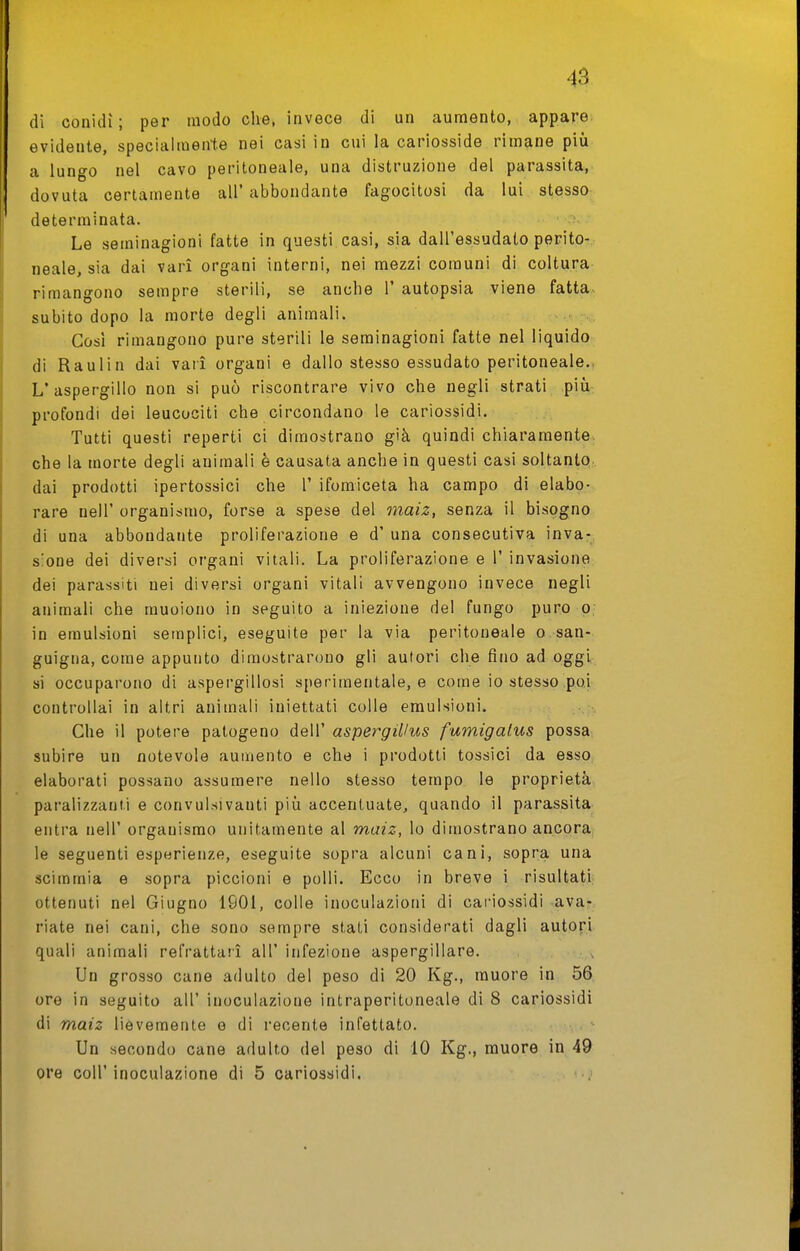 di Gonidi; per modo che, invece di un aumento, appare, evidente, specialmente nei casi in cui la cariosside rimane più a lungo nel cavo peritoneale, una distruzione del parassita, dovuta certamente all' abbondante fagocitosi da lui stesso determinata. Le seminagioni fatte in questi casi, sia dall'essudato perito- neale, sia dai vari organi interni, nei mezzi comuni di coltura rimangono sempre sterili, se anche 1' autopsia viene fatta, subito dopo la morte degli animali. Così rimangono pure sterili le seminagioni fatte nel liquido di Raulin dai vari organi e dallo stesso essudato peritoneale., L'aspergillo non si può riscontrare vivo che negli strati piiì profondi dei leucociti che circondano le cariossidi. Tutti questi reperti ci dimostrano già quindi chiaramente, che la morte degli animali è causata anche in questi casi soltanto dai prodotti ipertossici che 1' ifomiceta ha campo di elabo- rare neir organismo, forse a spese del ?naiz, senza il bisogno di una abbondante proliferazione e d' una consecutiva inva-, s'one dei diversi organi vitali. La proliferazione e 1' invasione dei parassiti nei diversi organi vitali avvengono invece negli animali che muoiono in seguito a iniezione del fungo puro o. in emulsioni semplici, eseguite per la via peritoneale o san- guigna, come appunto dimostrarono gli autori che fino ad oggi si occuparono di aspergillosi s[)er-imentale, e come io stesso poi controllai in altri animali iniettati colle emulsioni. Che il potere patogeno dell' aspergiHus fumigalus possa subire un notevole aumento e che i prodotti tossici da esso elaborati possano assumere nello stesso tempo le proprietà paralizzanti e convulsivanti più accentuate, quando il parassita entra nell' organismo unitamente al maiz, lo dimostrano ancora le seguenti esperienze, eseguite sopra alcuni cani, sopra una scimmia e sopra piccioni e polli. Ecco in breve i risultati ottenuti nel Giugno 1901, colle inoculazioni di cariossidi ^avar riate nei cani, che sono sempre stati considerati dagli autori quali animali refrattari all' infezione aspergillare. , , Un grosso cane adulto del peso di 20 Kg., muore in 56 ore in seguito all' inoculazione intraperitoneale di 8 cariossidi di maiz lievemente e di recente infettato. Un secondo cane adulto del peso di 10 Kg., muore in 49 ore coir inoculazione di 5 cariossidi.